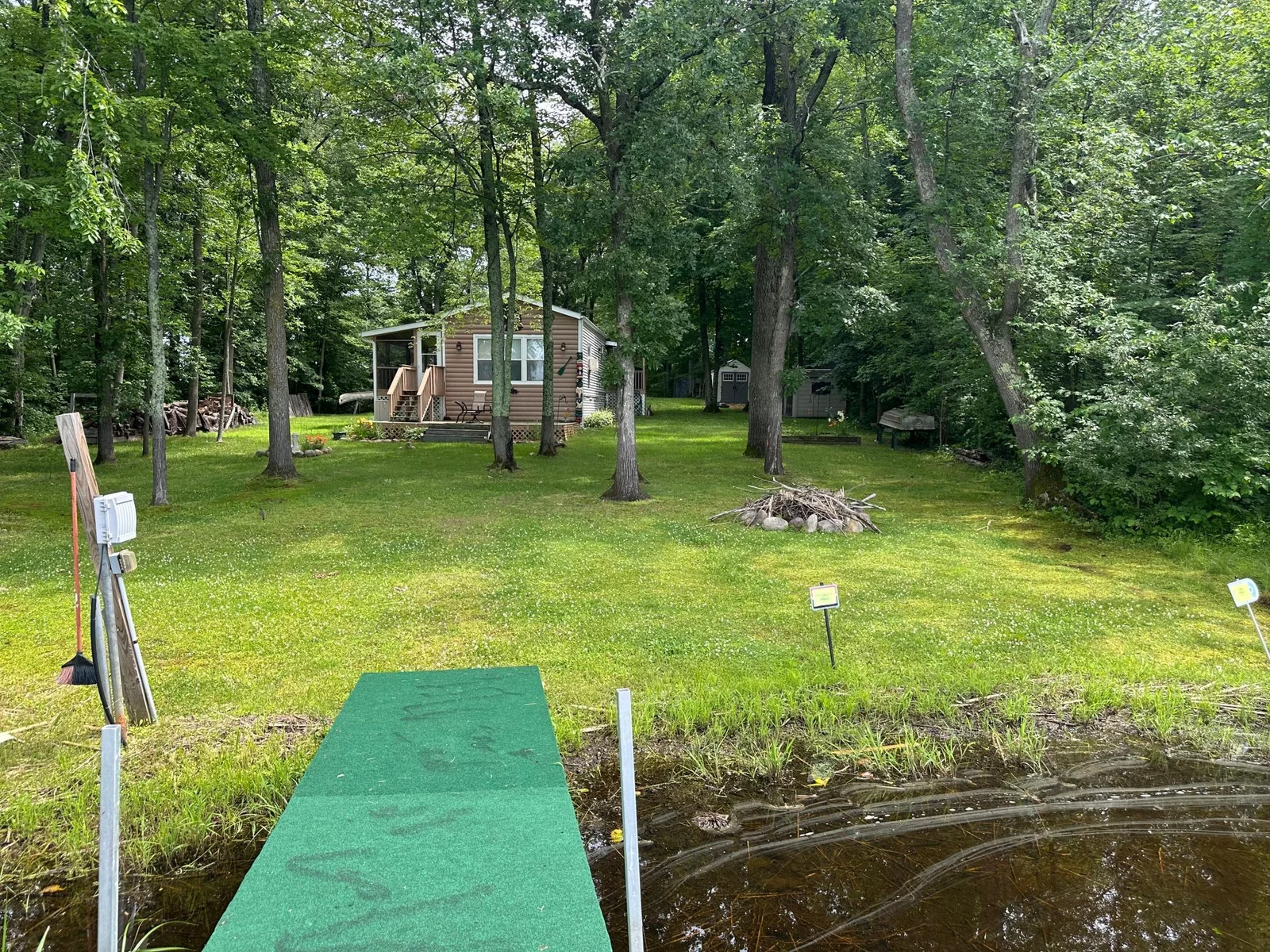 Shoreline and Tree Coverage