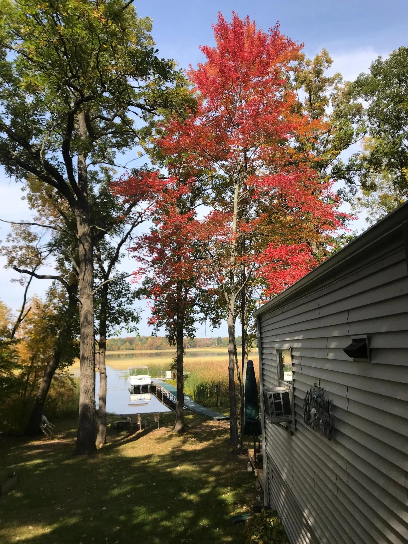 Fall colors