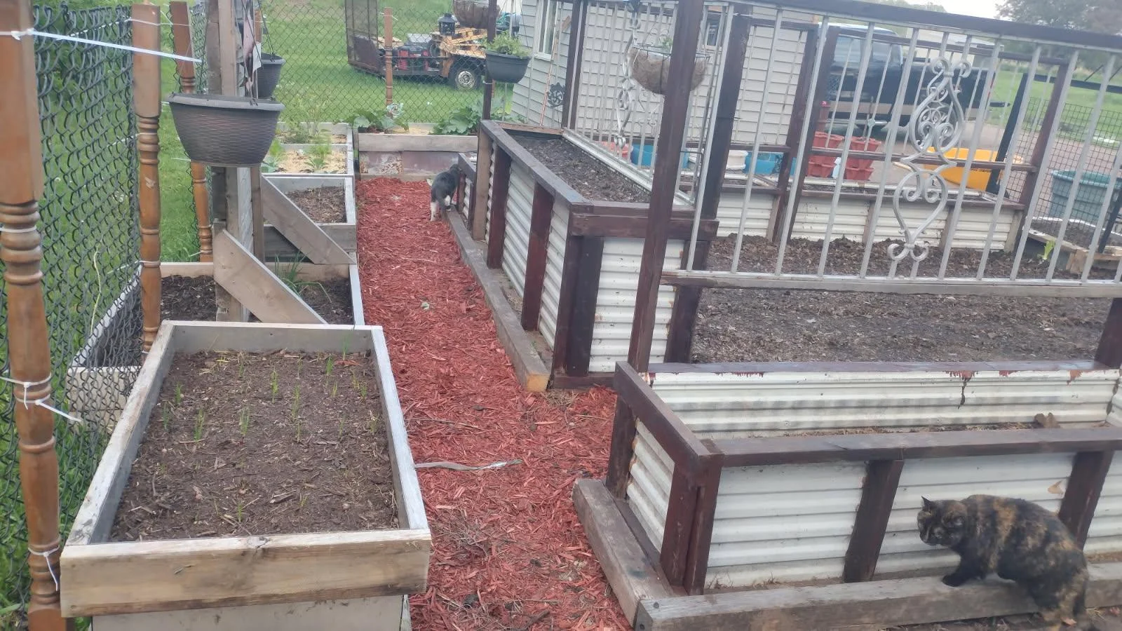 garden 1.jpg