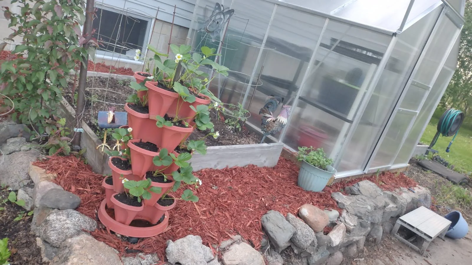 greenhouse.jpg