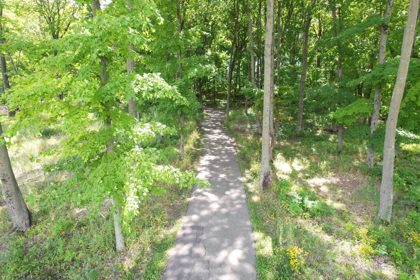 The Meadows 12 Miles of Blacktopped Trails