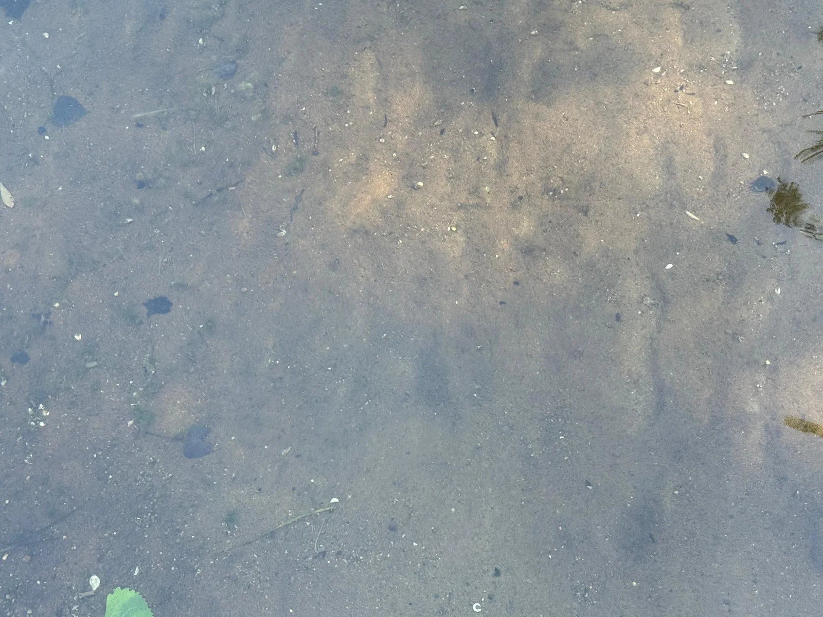 Water