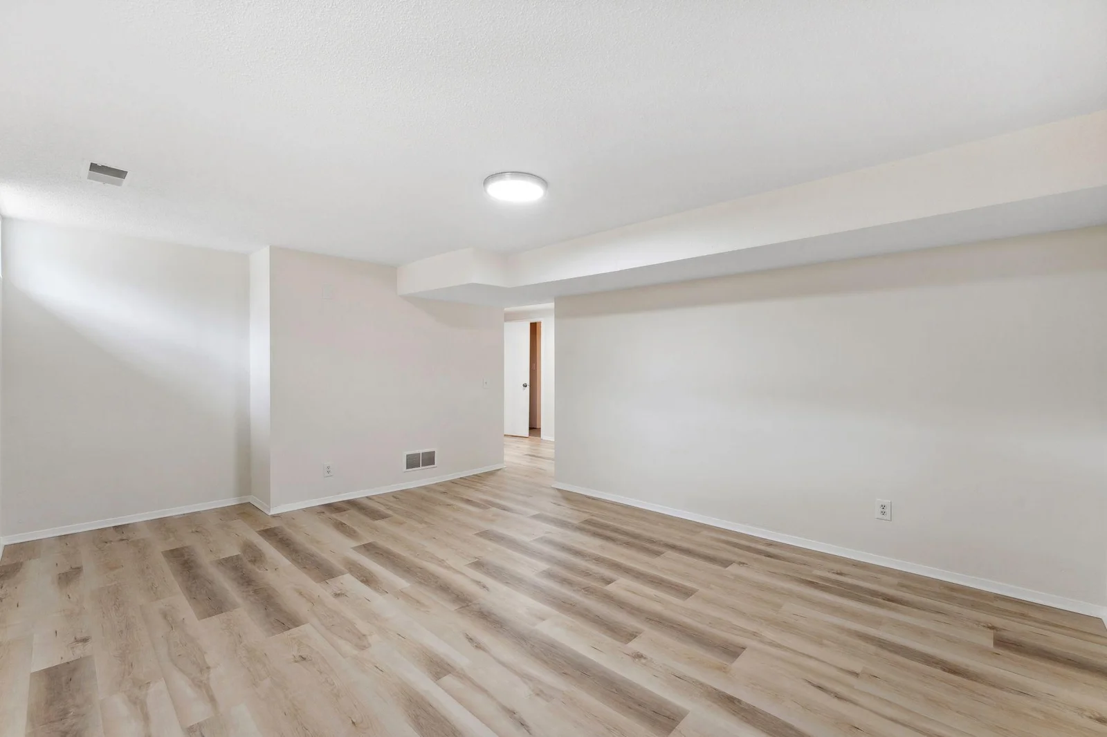 Lower level family room