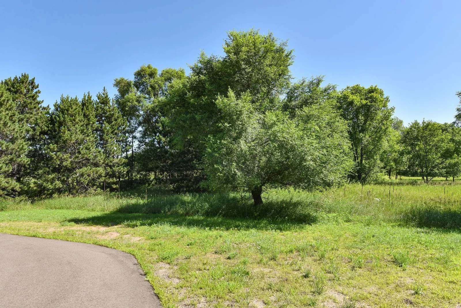 Front Yard.jpg