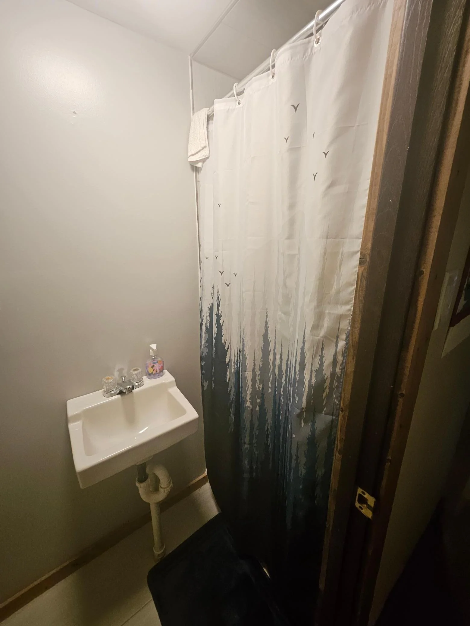 lower level sink and shower.jpg