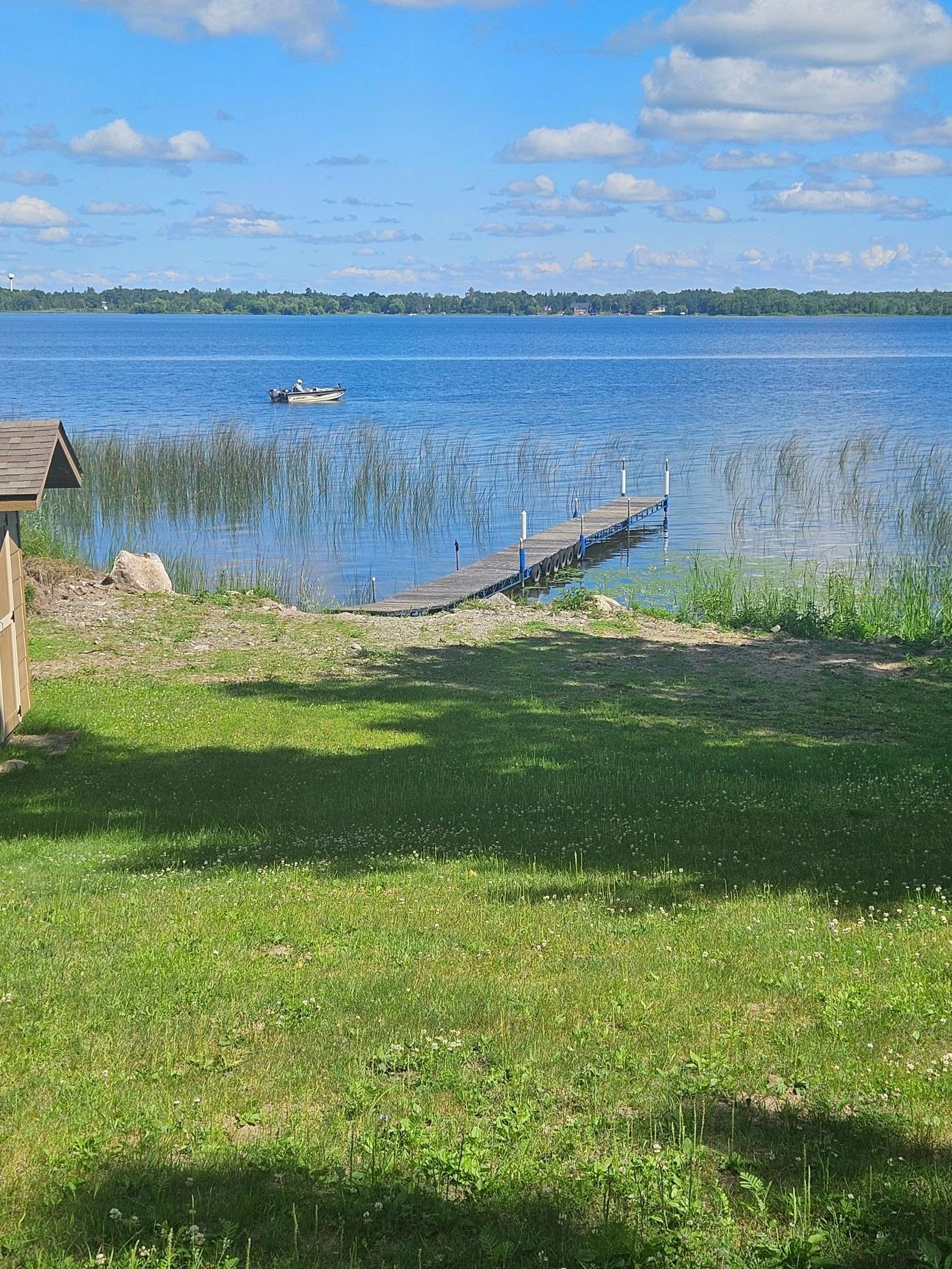 view from the back deck.jpg