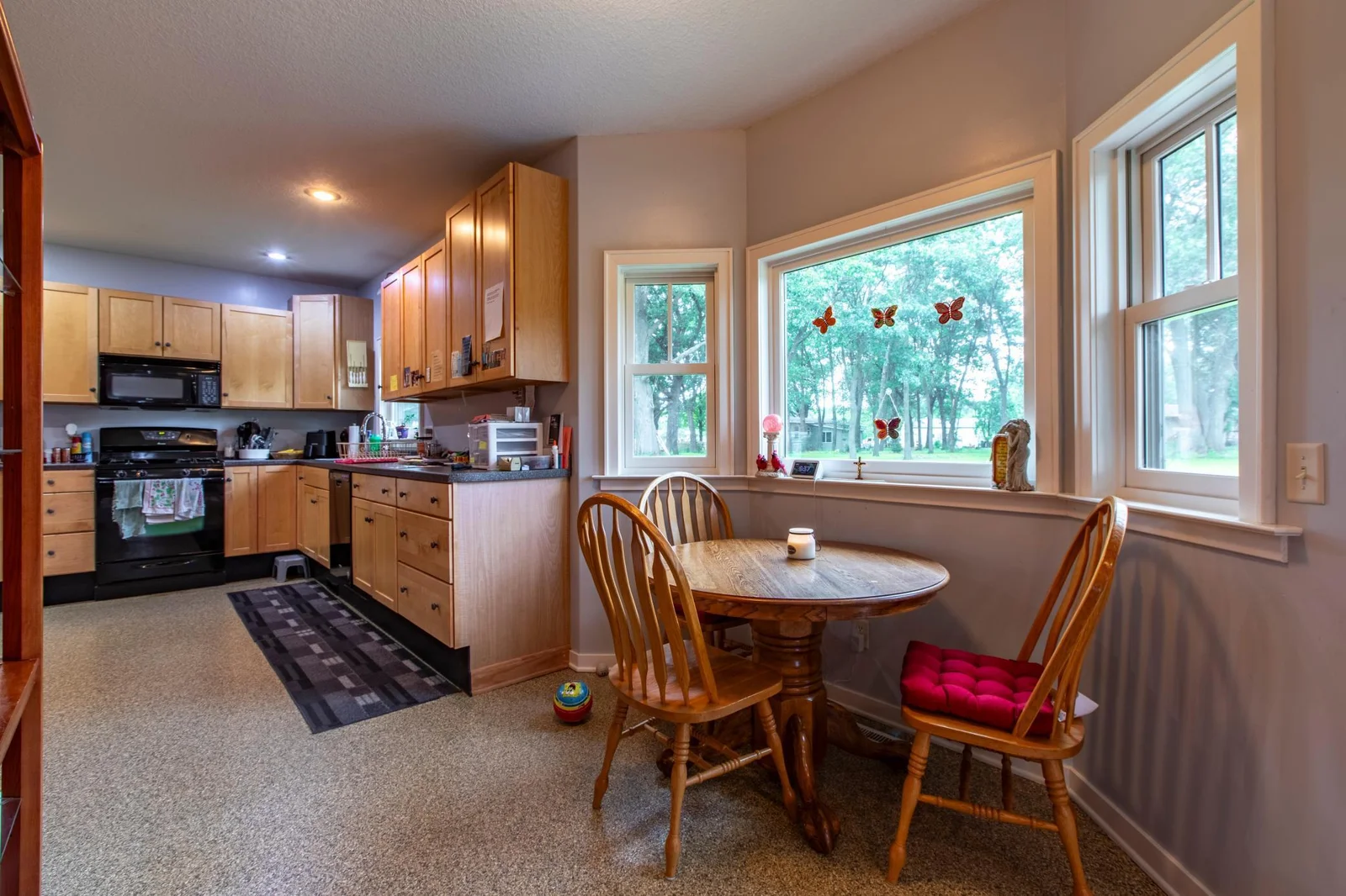 15212 667th St Wabasha-8.jpg