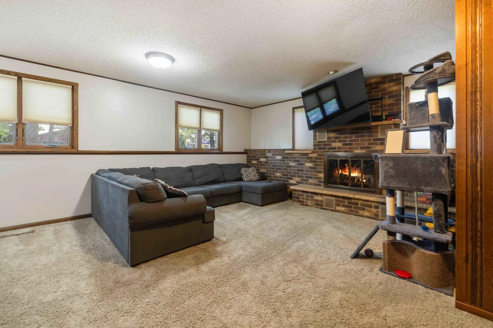 Downstairs family room