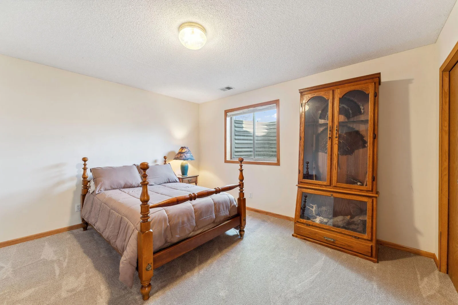 Bedroom 5, lower level