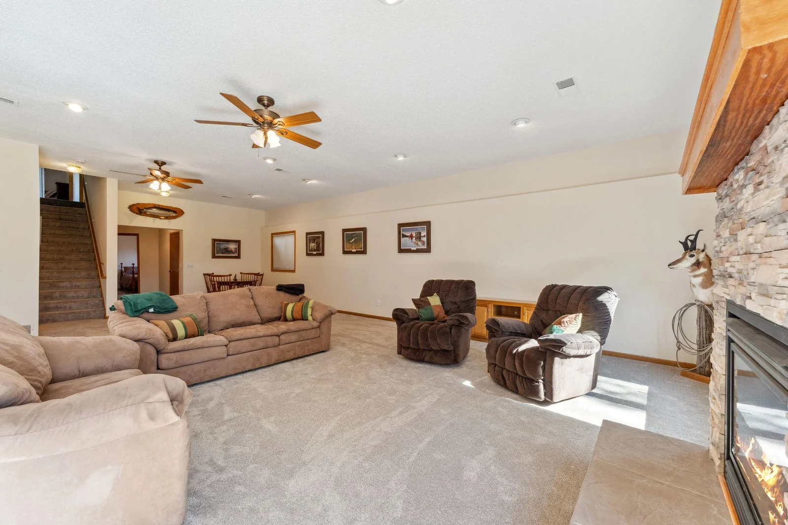 Lower level Family Room with walkout