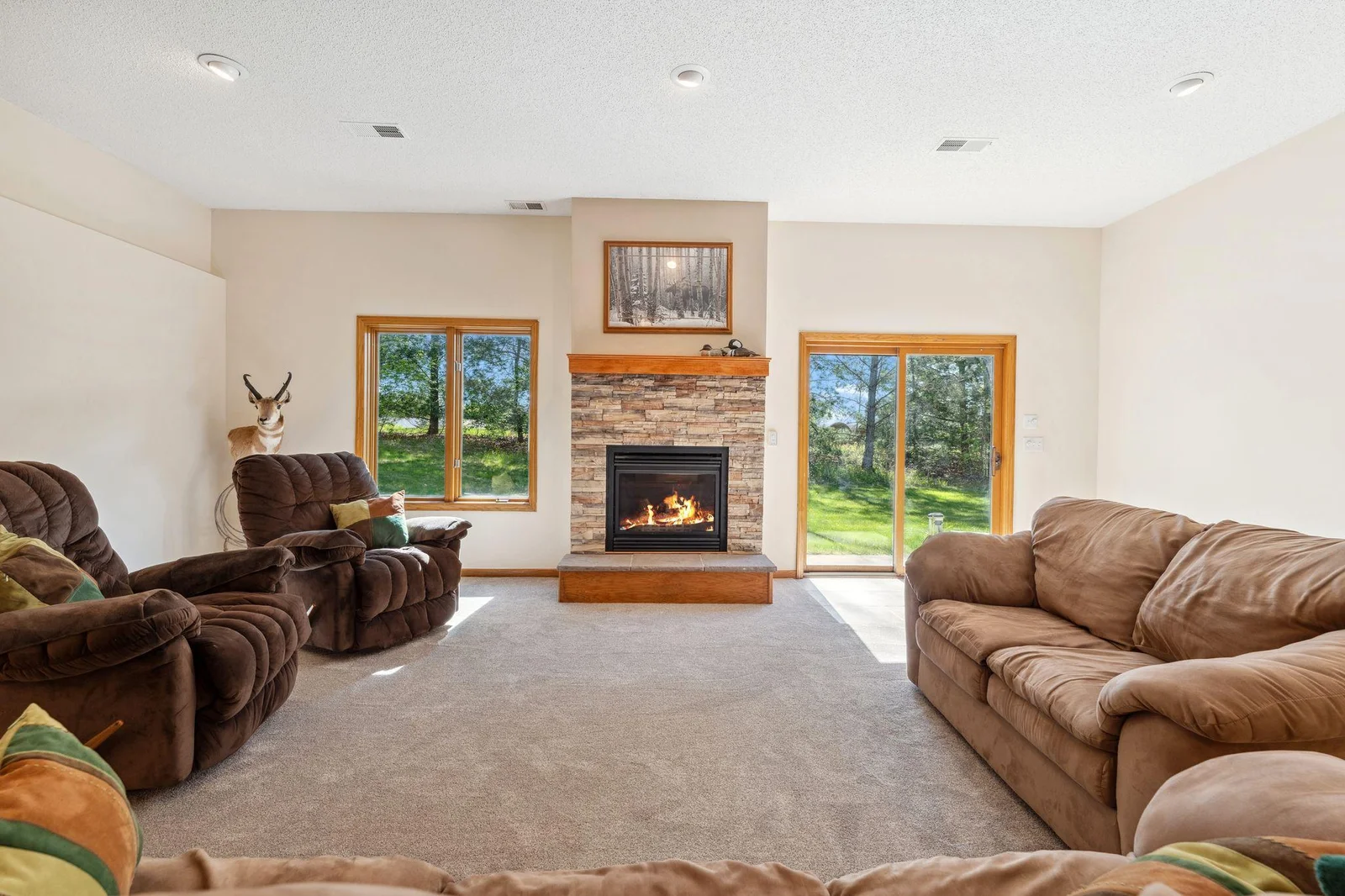 Lower level Family Room with walkout