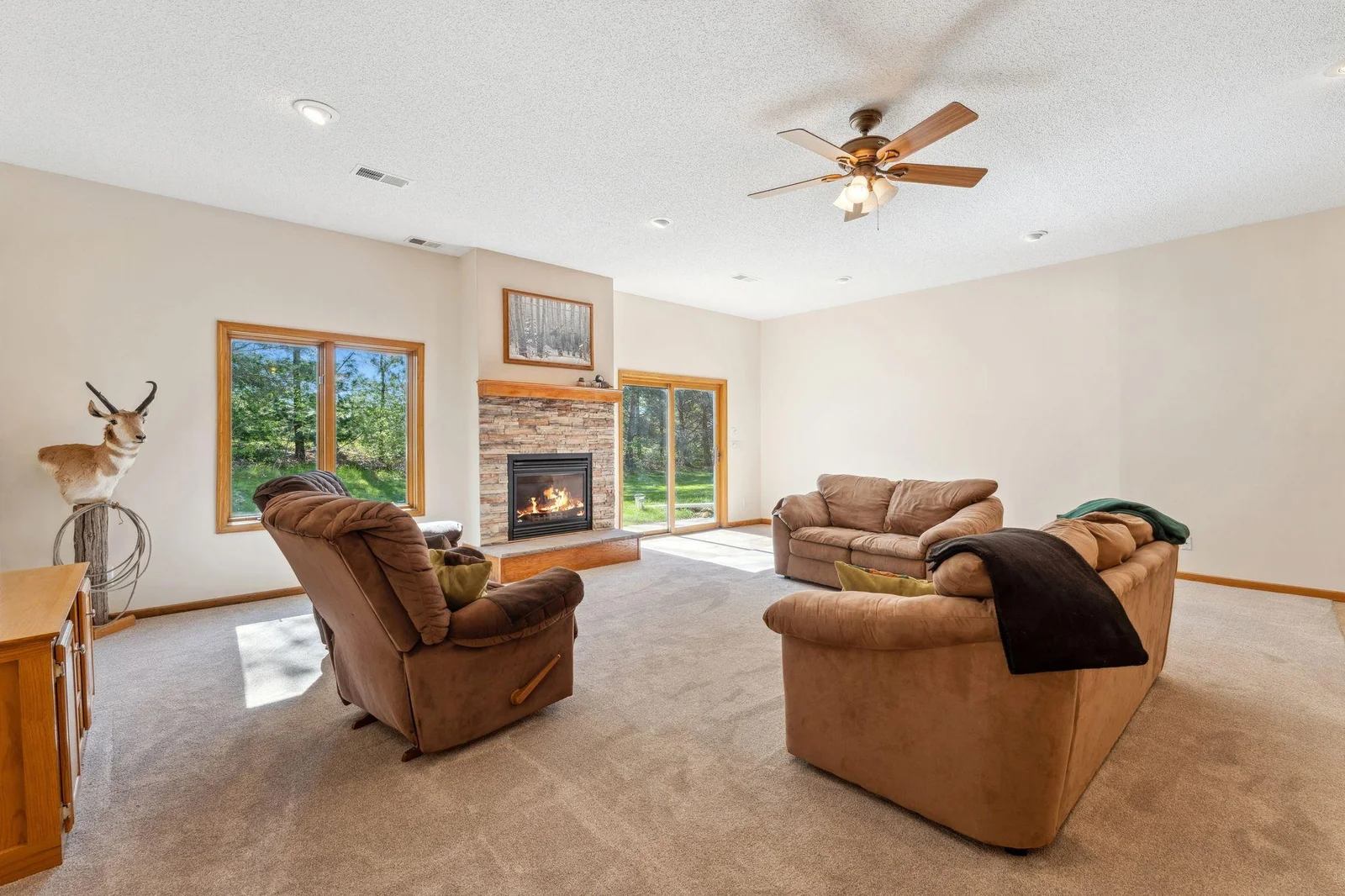 Lower level Family Room with walkout