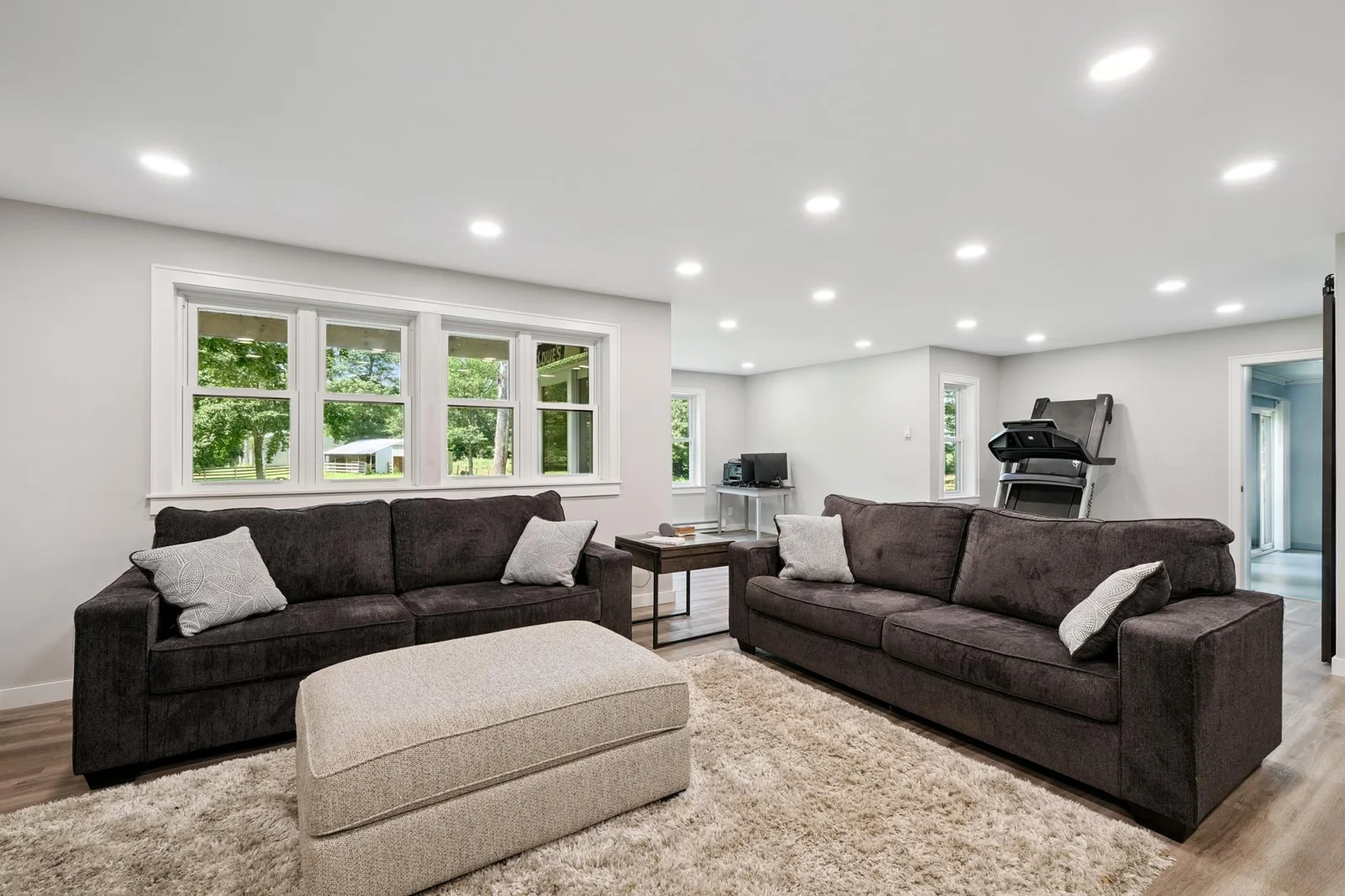 Lower level family room