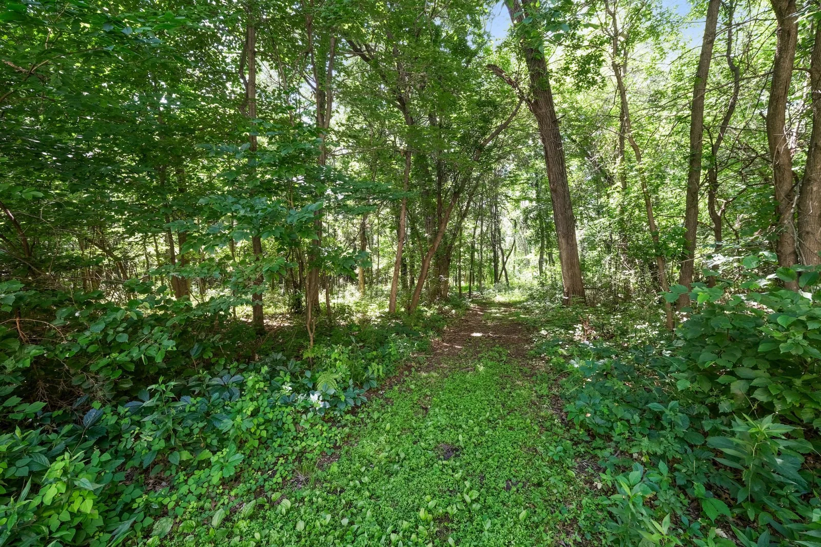 Numerous walking trails
