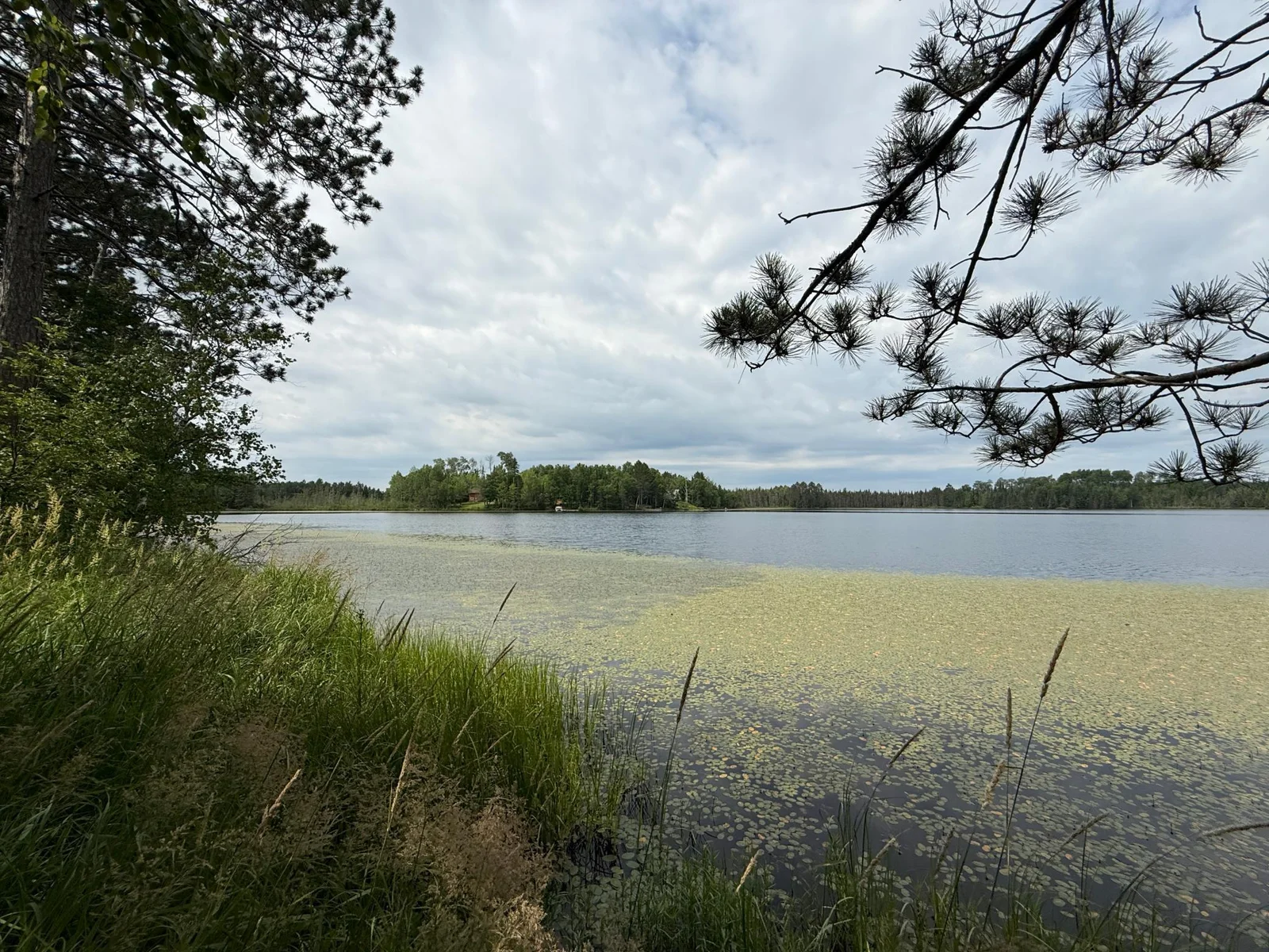 IMG_2501.JPG