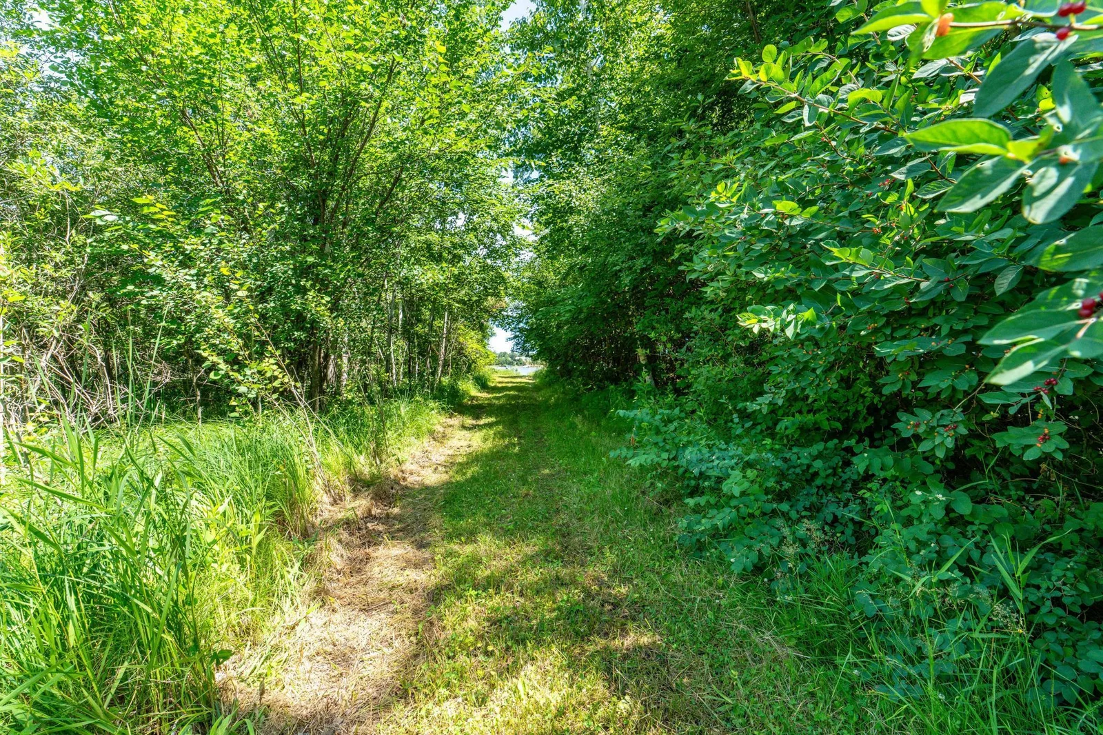 Path to lake