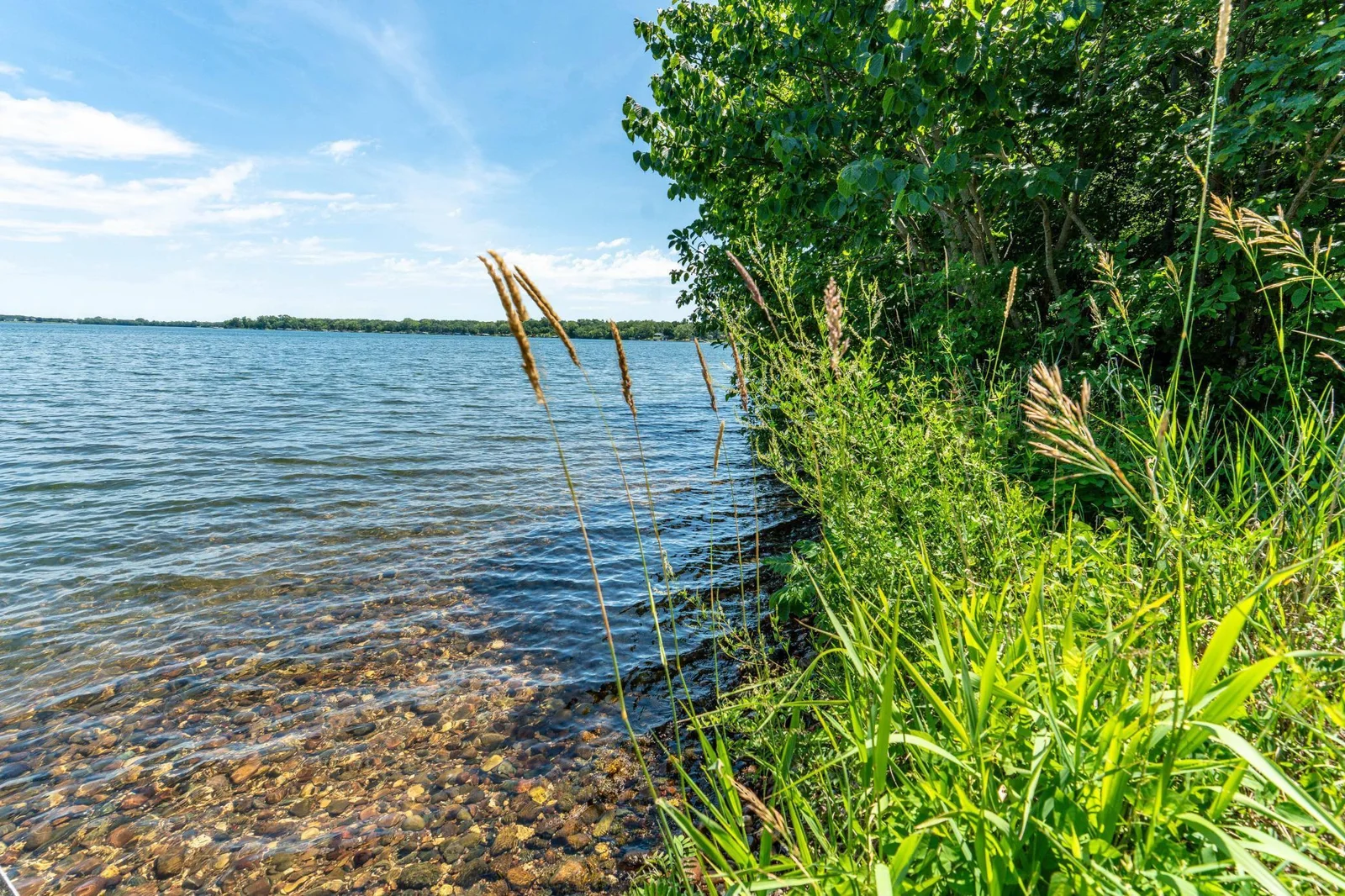 Shoreline