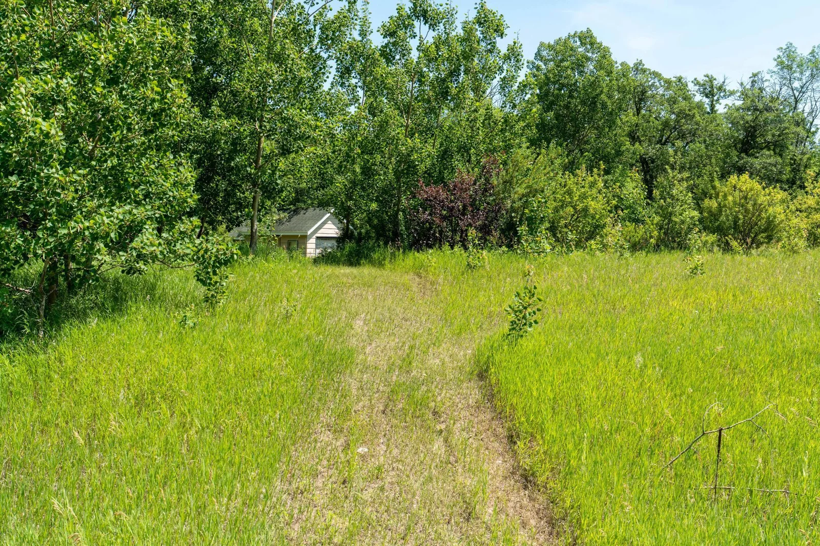 Roadside shed