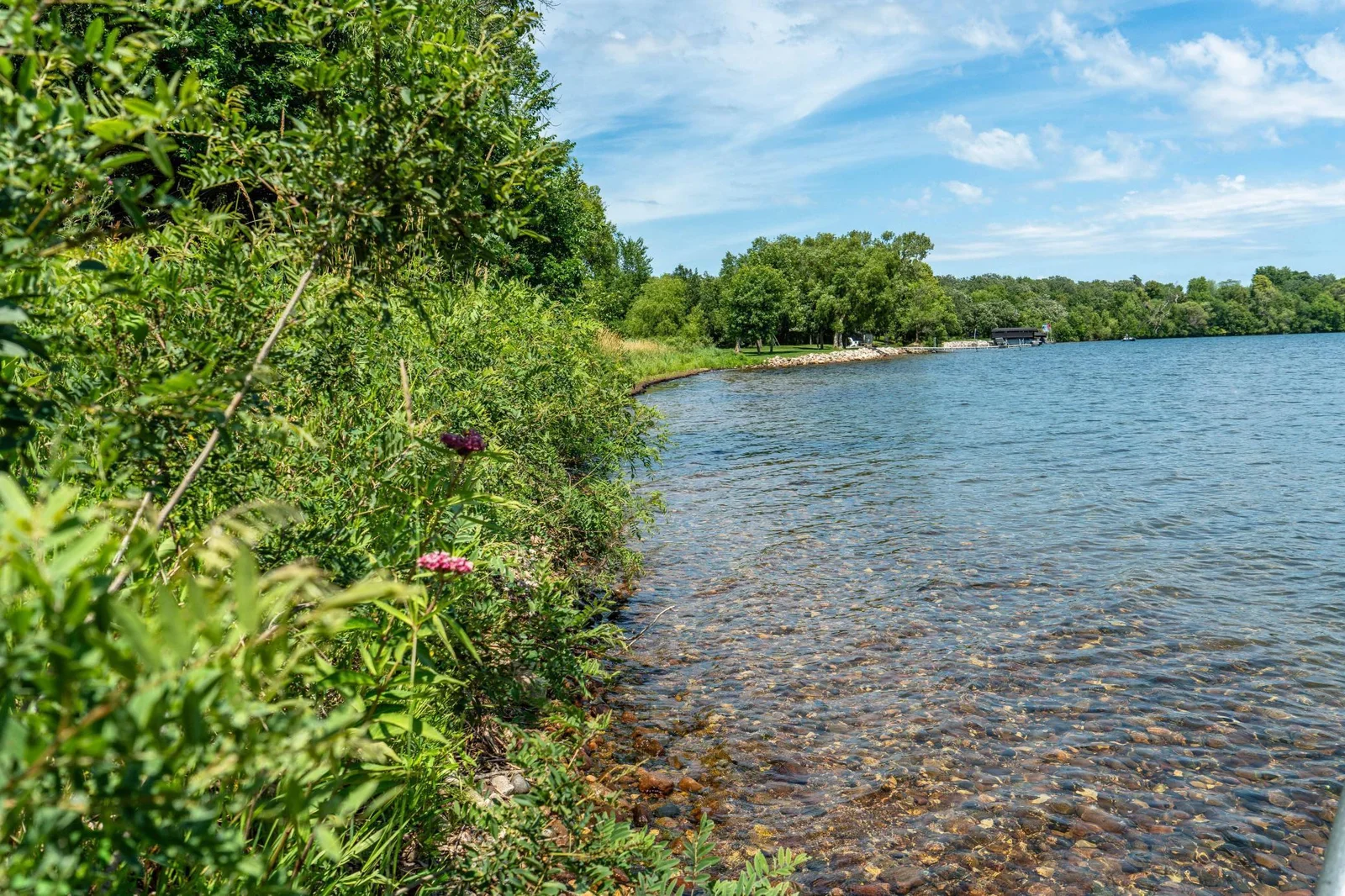 Shoreline