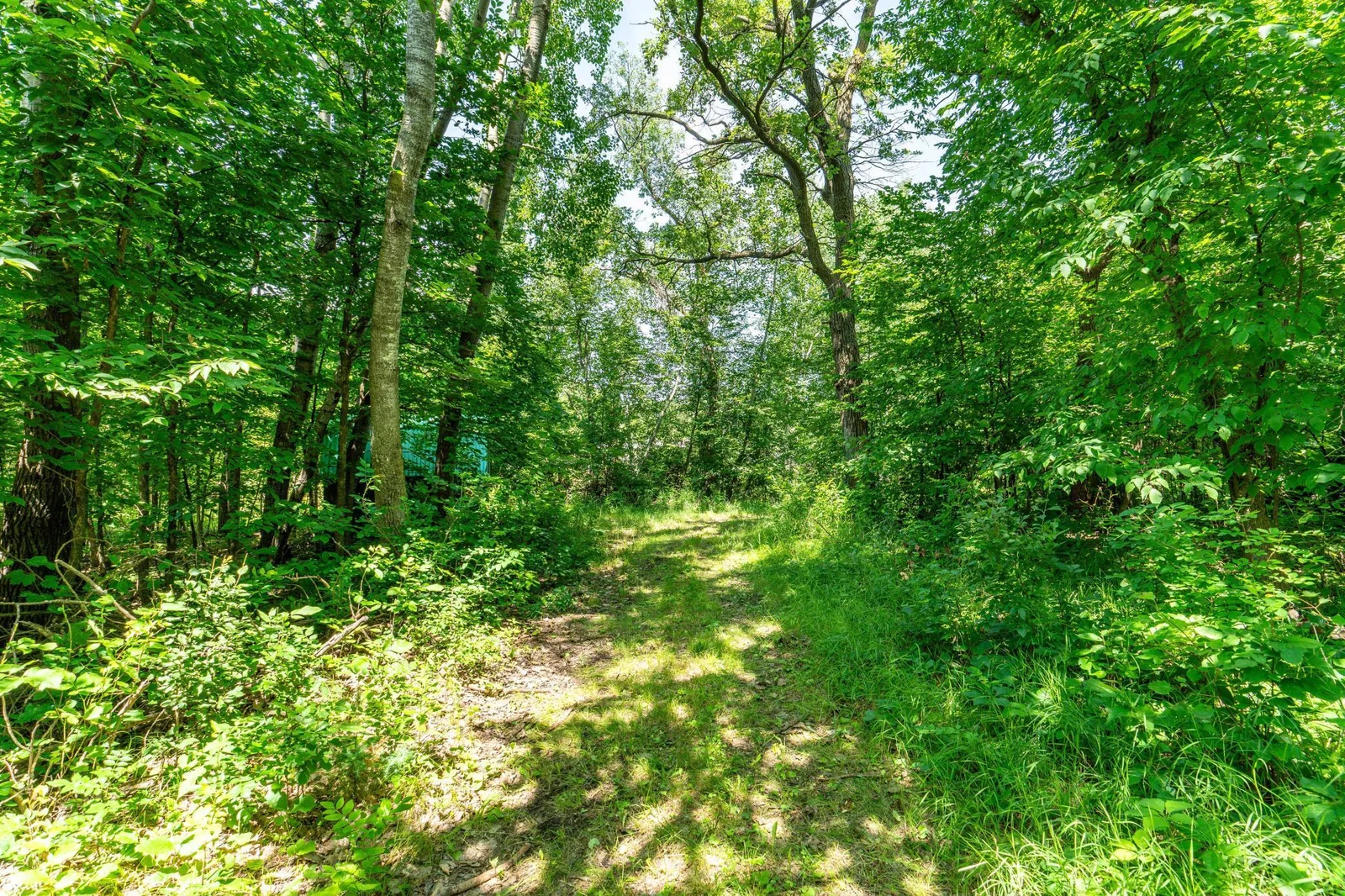 Trail