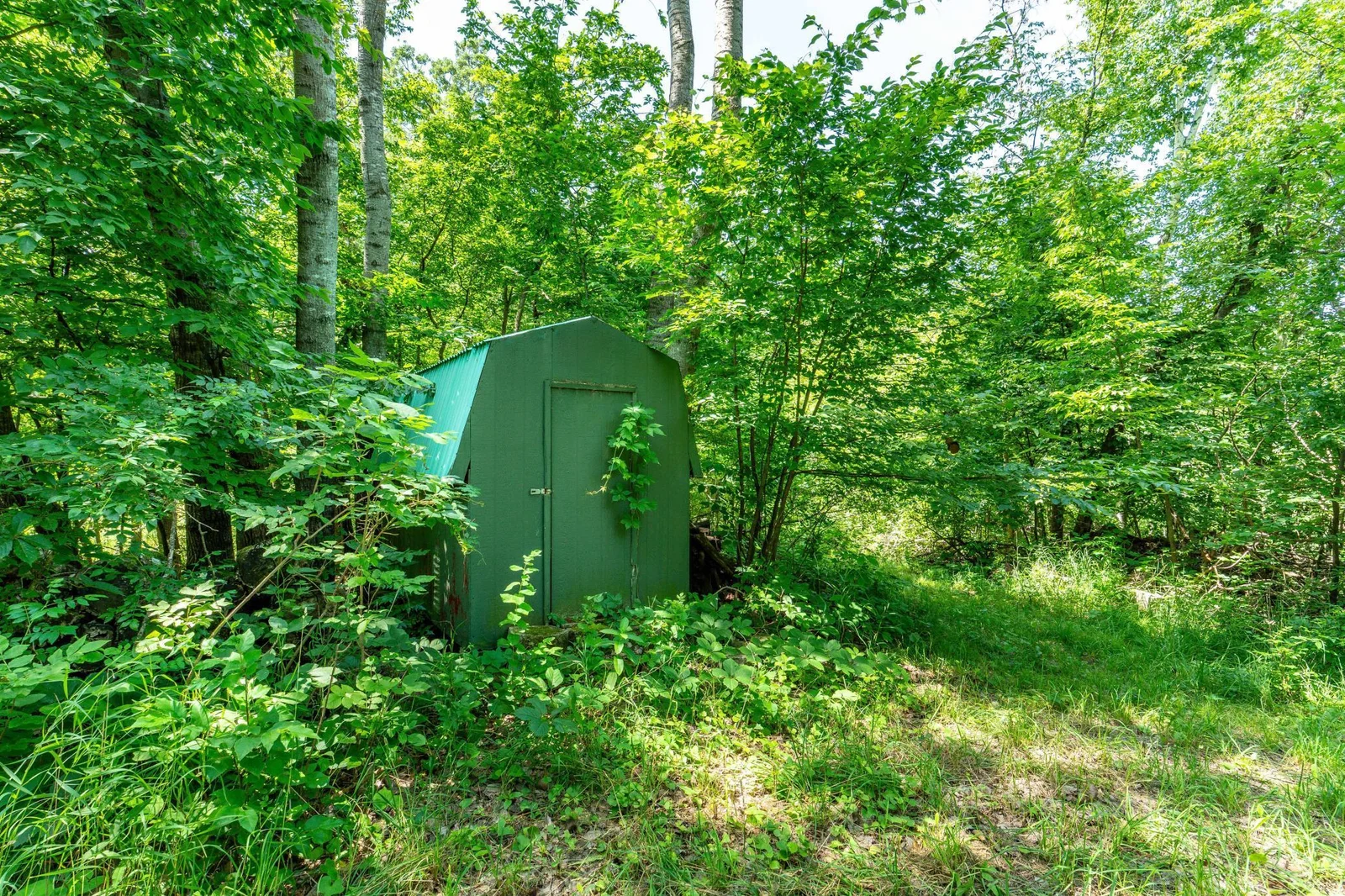 Wood shed closer to lake