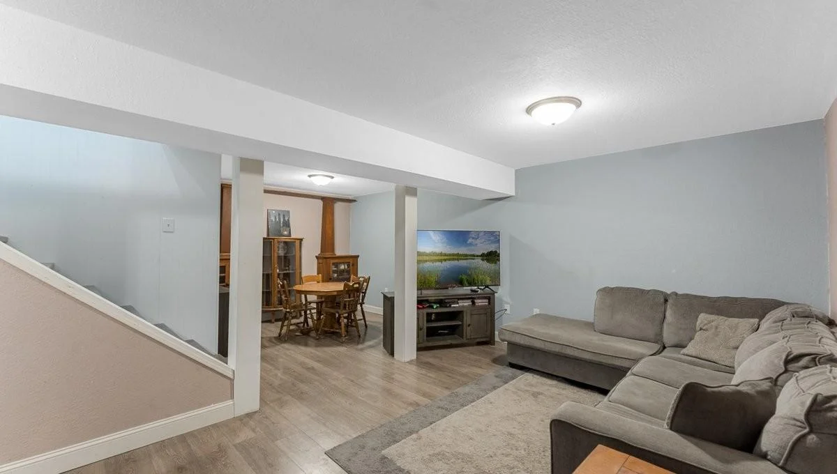 Lower Level Family Room