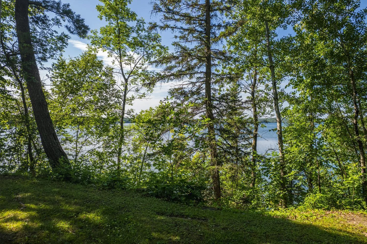 Cabin 2 views.jpg