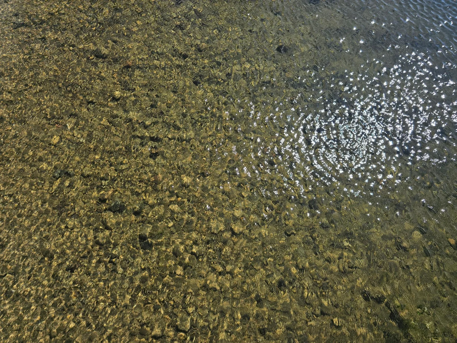 20250709_160835.jpg