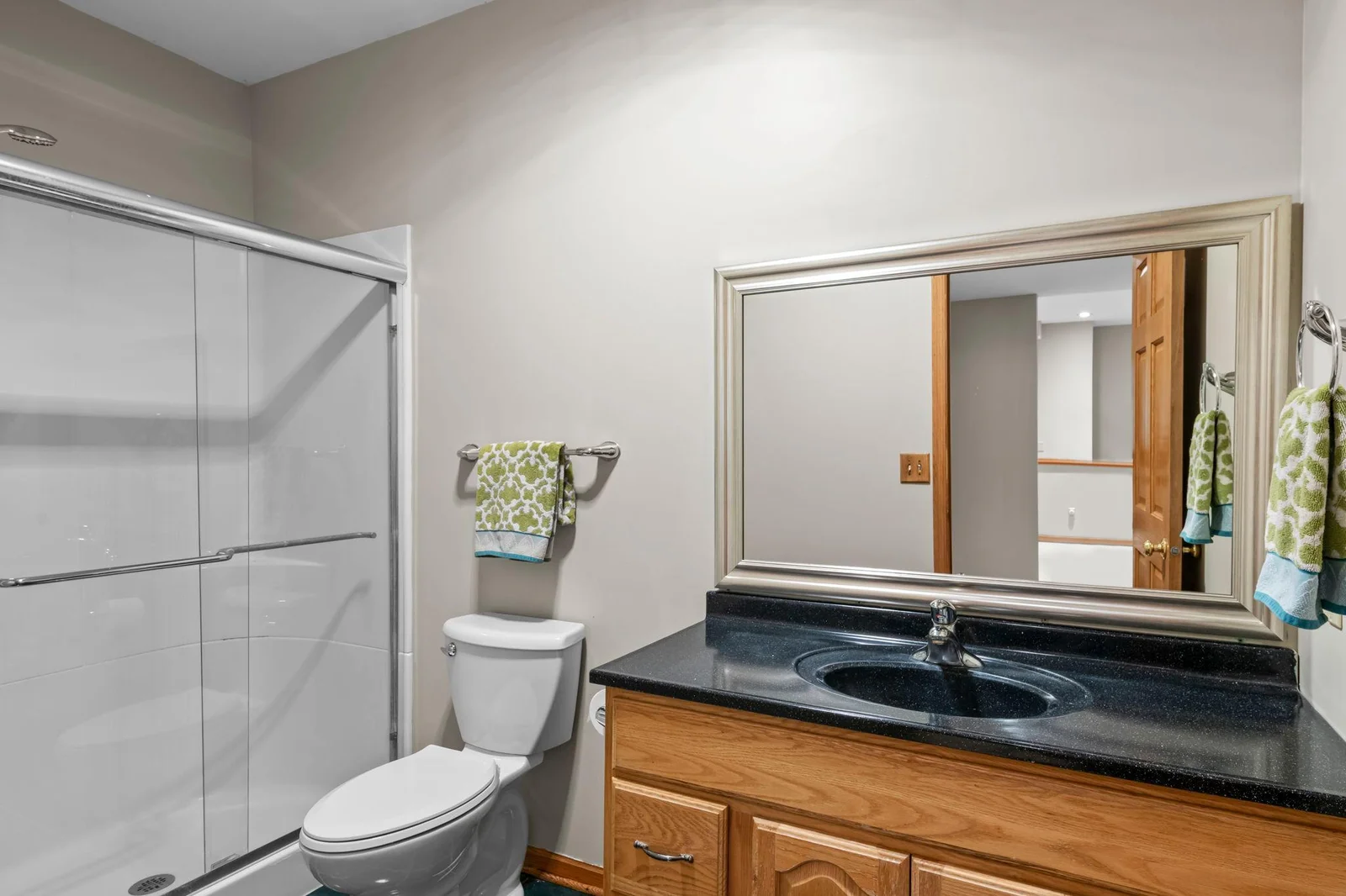 Lower level bathroom