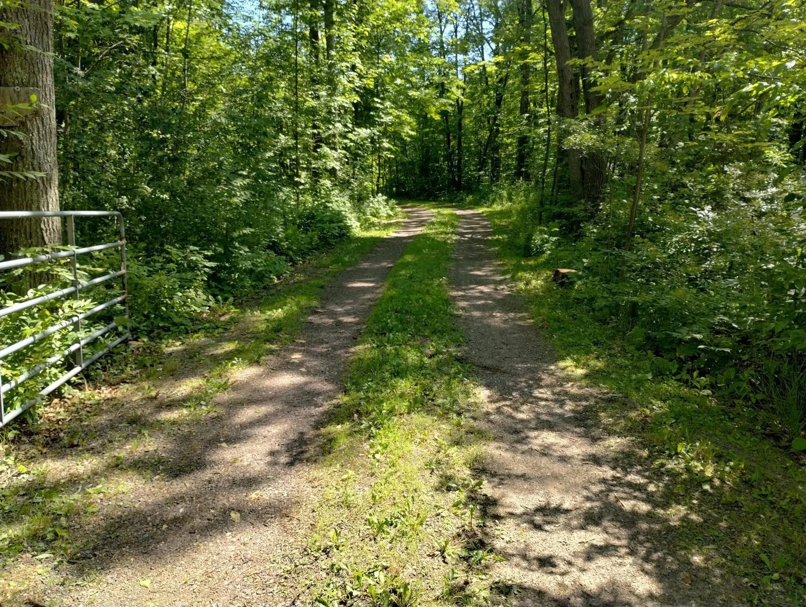 IMG_20250709_111347363_HDR.jpg