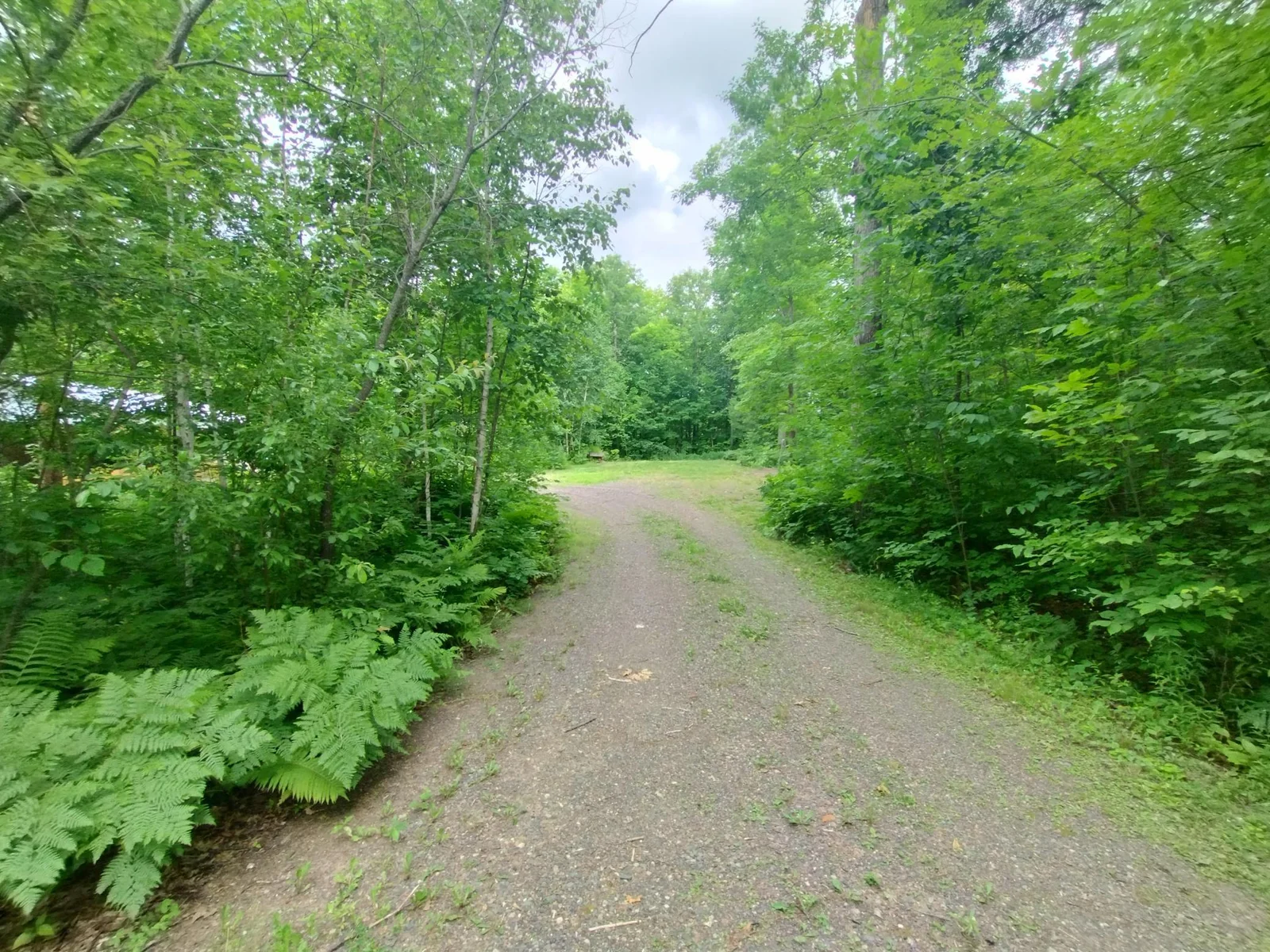IMG_20250711_154356570_HDR.jpg
