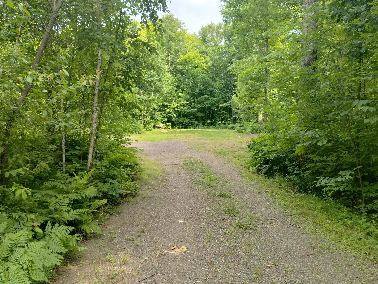 IMG_20250711_154351107_HDR.jpg