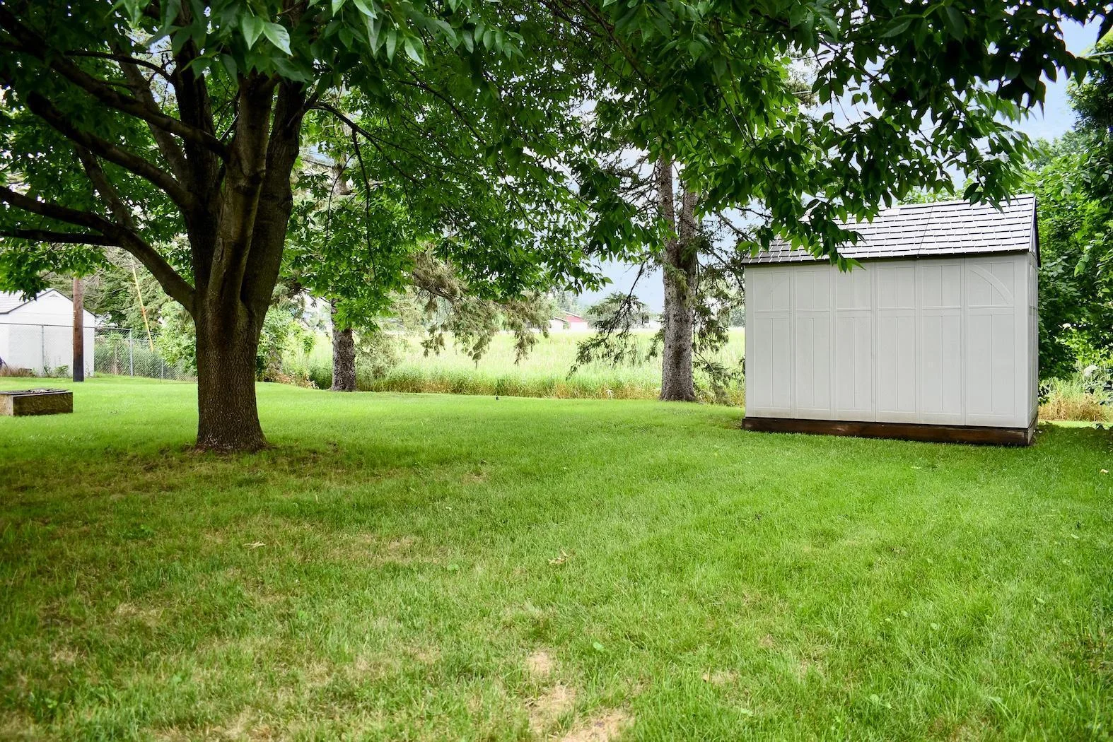 Back Yard II.jpg