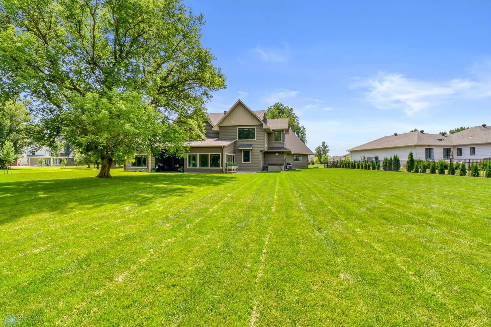 Backyard1_3.JPG