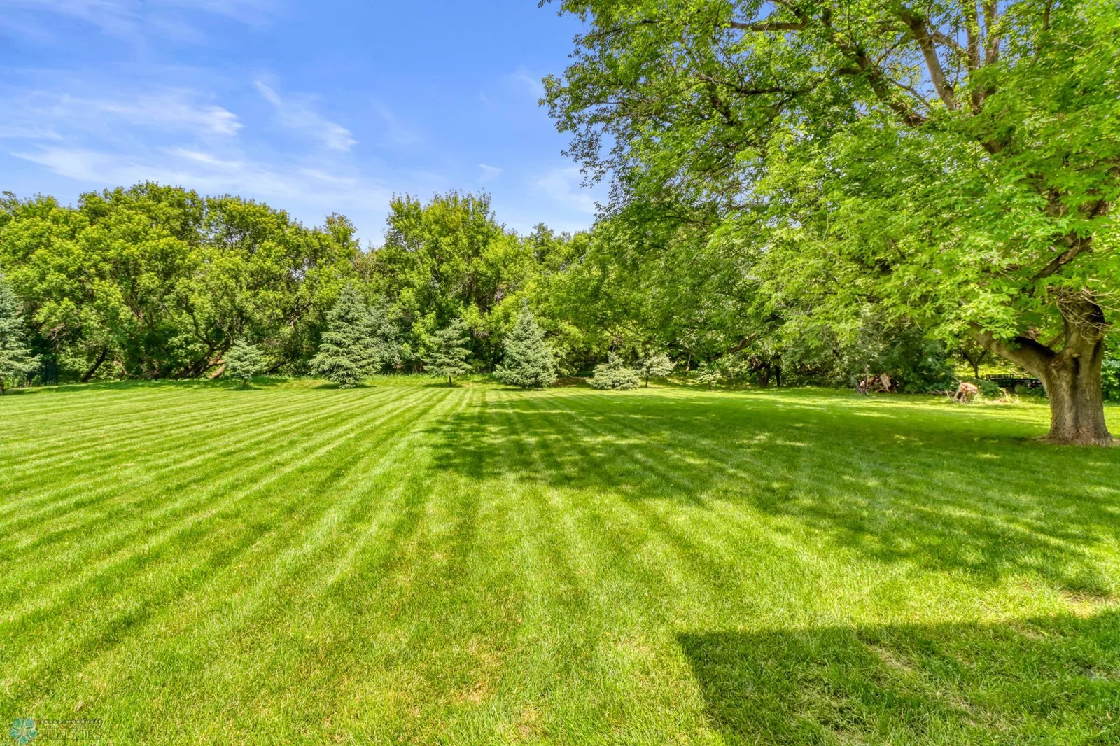 Backyard1_2.JPG