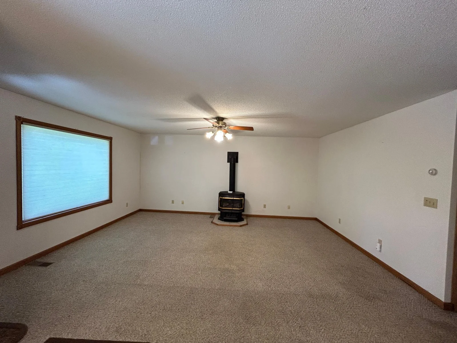 Living Room Fireplace