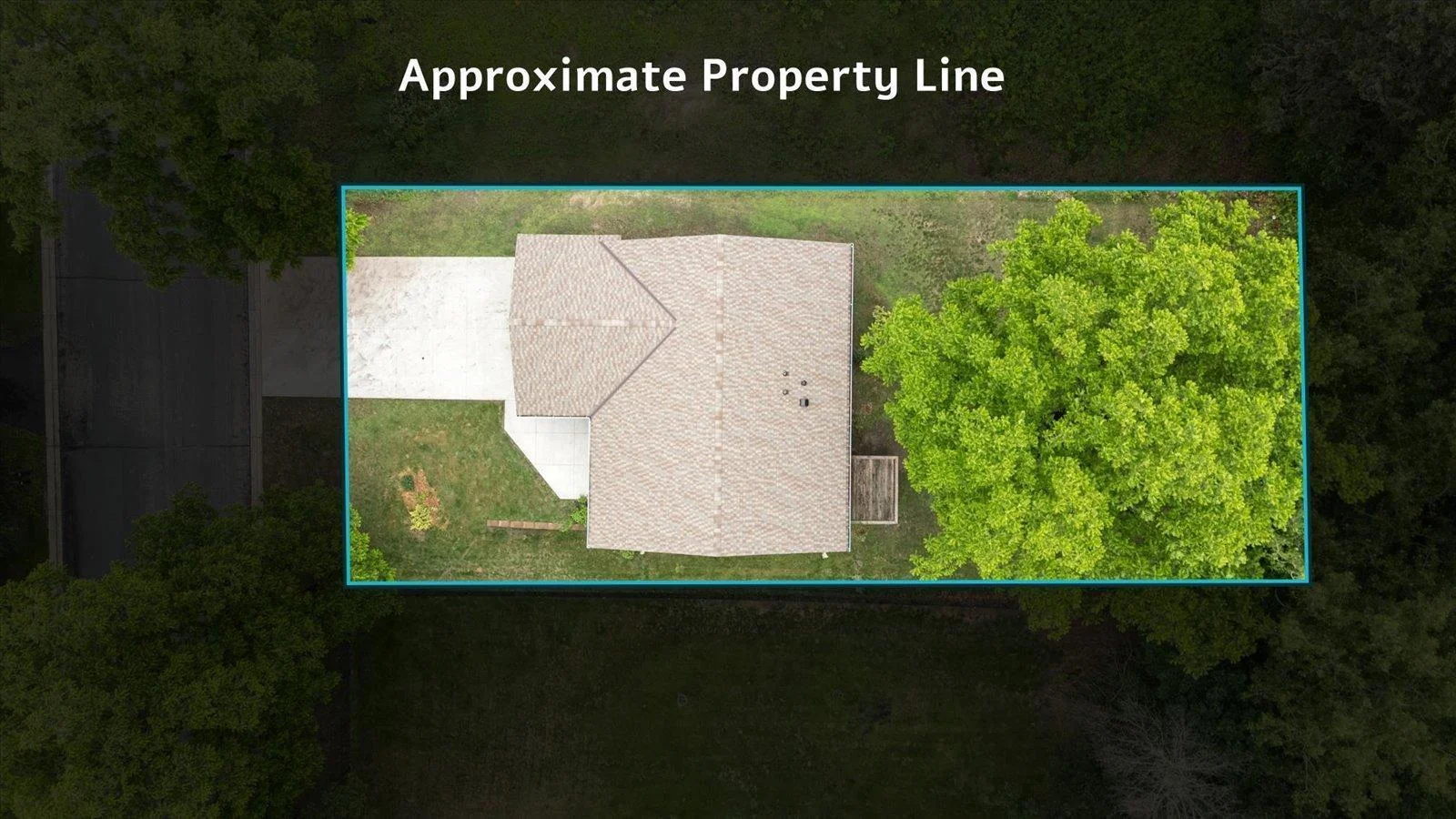 The property line