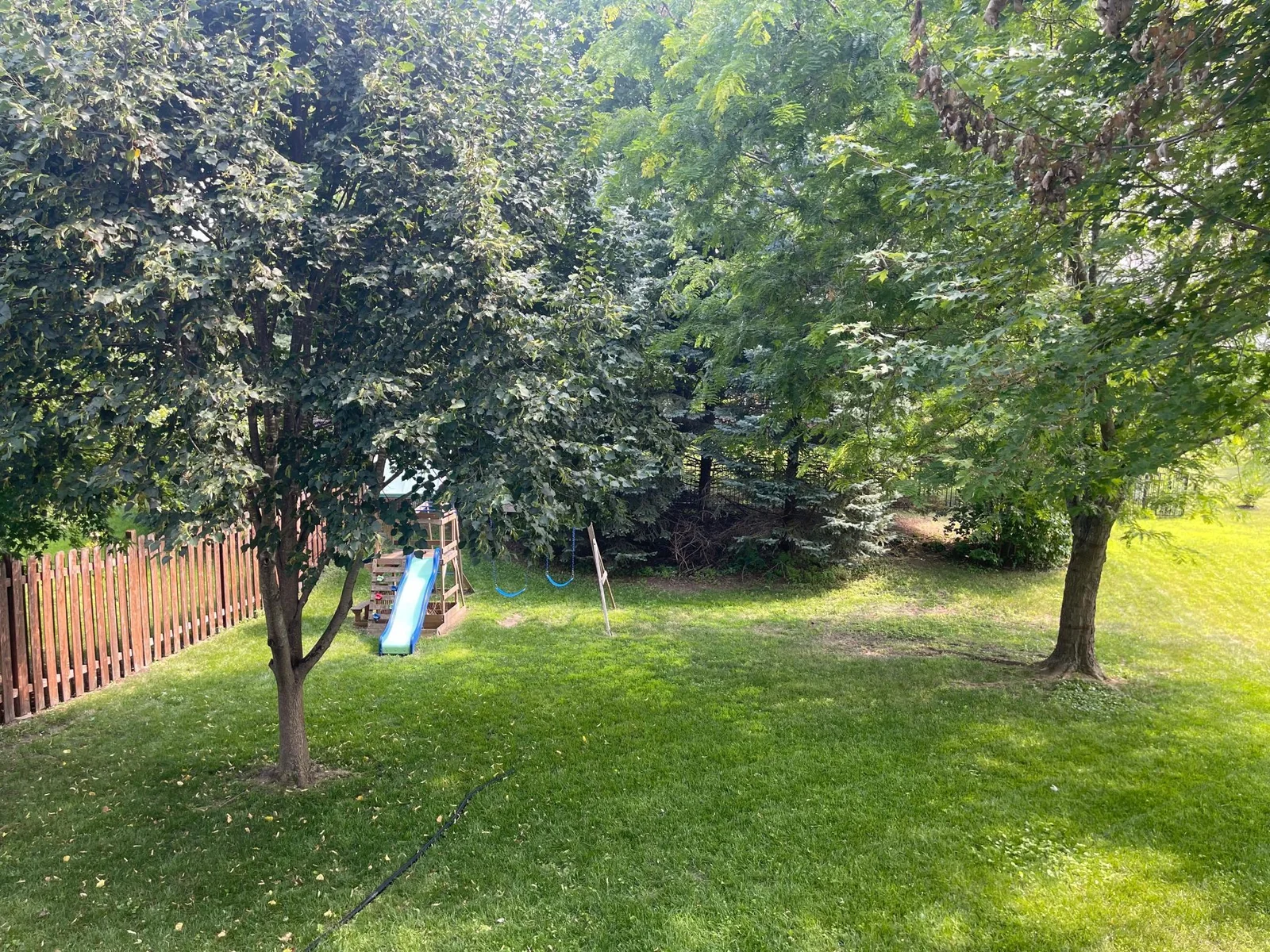 IMG_2513.jpeg