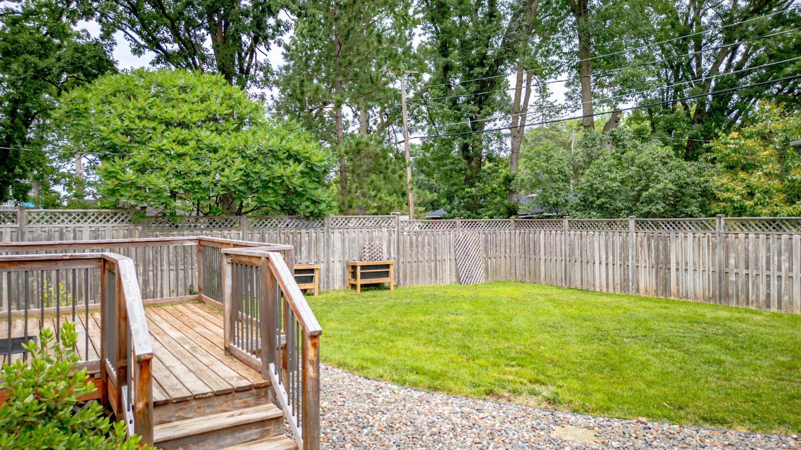 Back Yard
