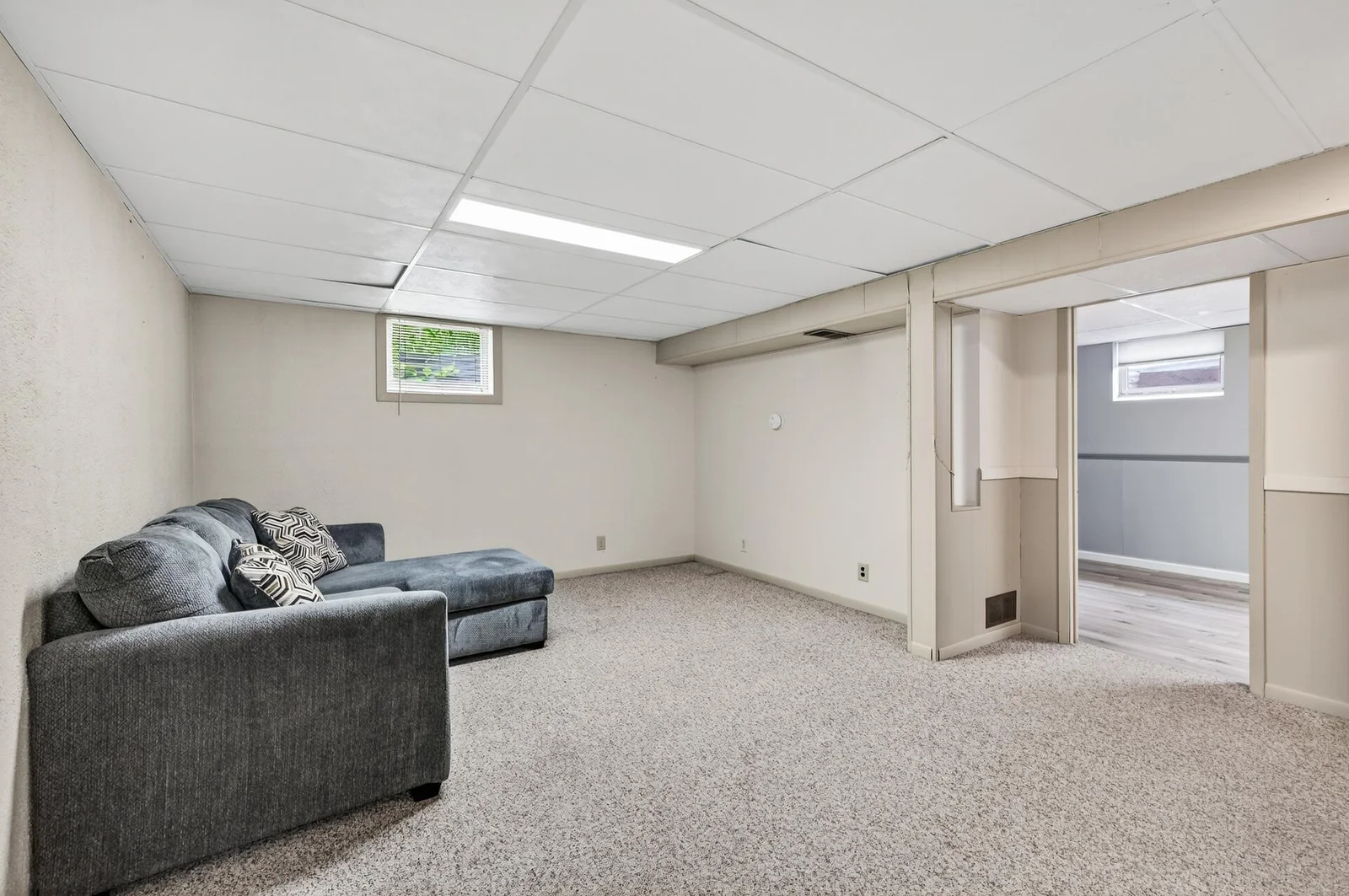 Lower Level Family Room