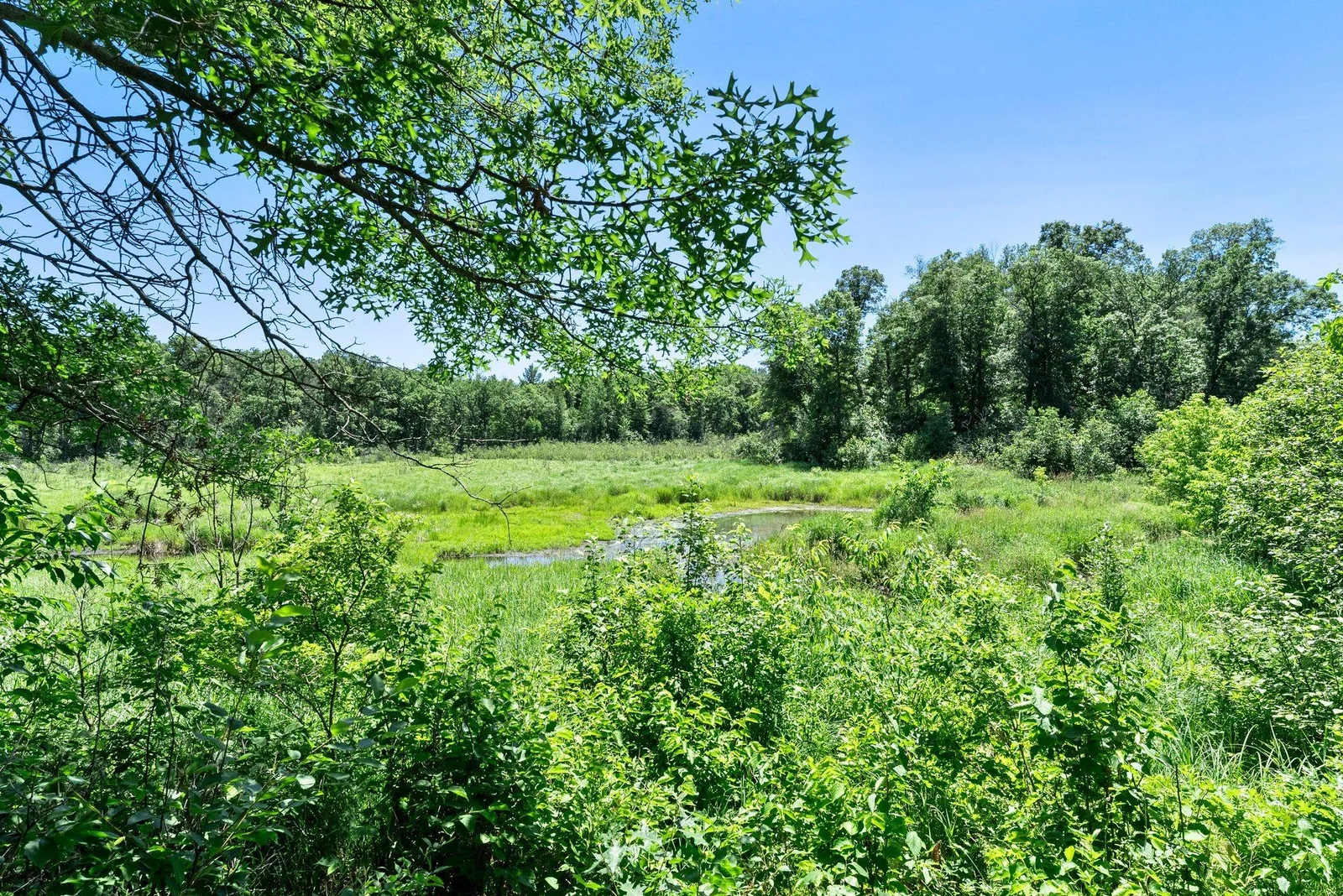 Peaceful country living.