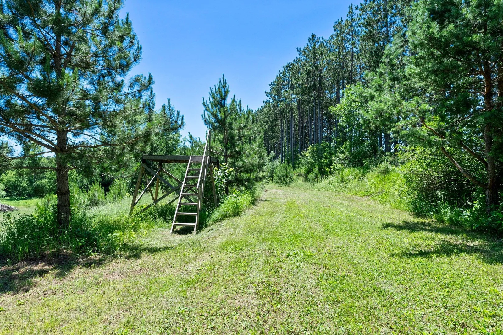 Abundant wildlife-perfect for hunting or just enjoying wildlife.