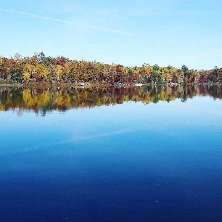 lakeview.jpg