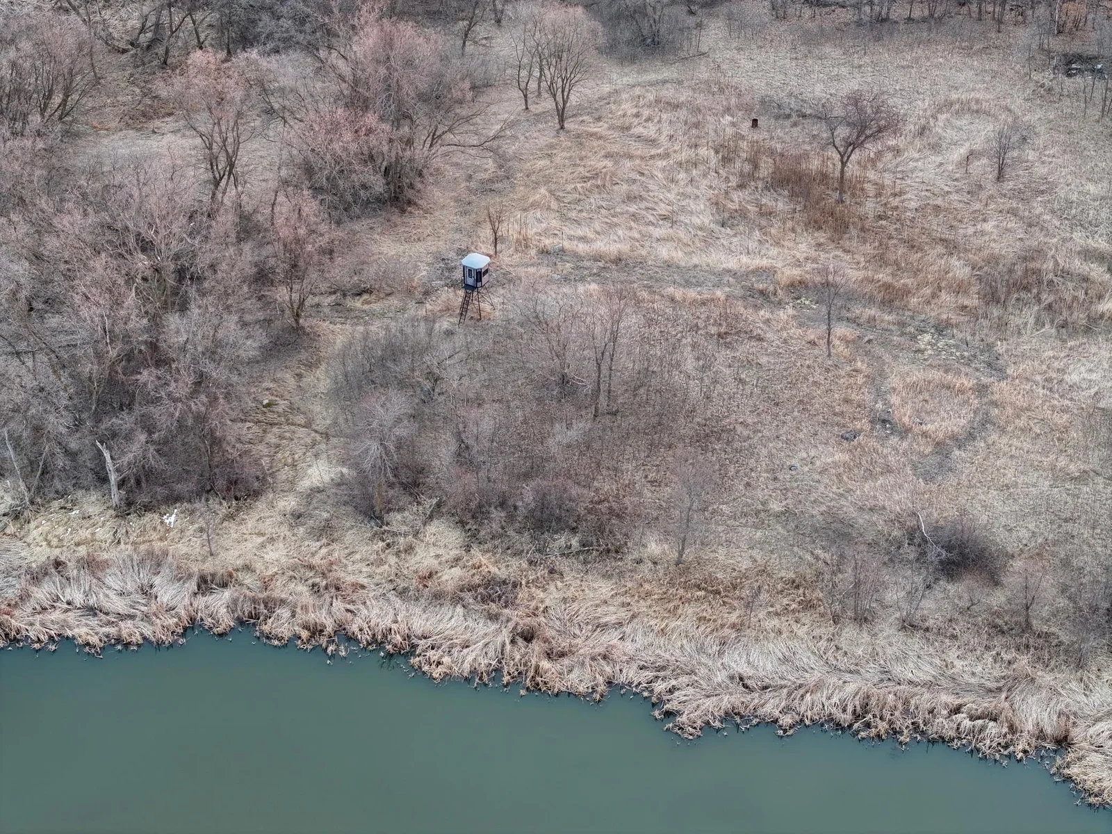Deerstand.jpg