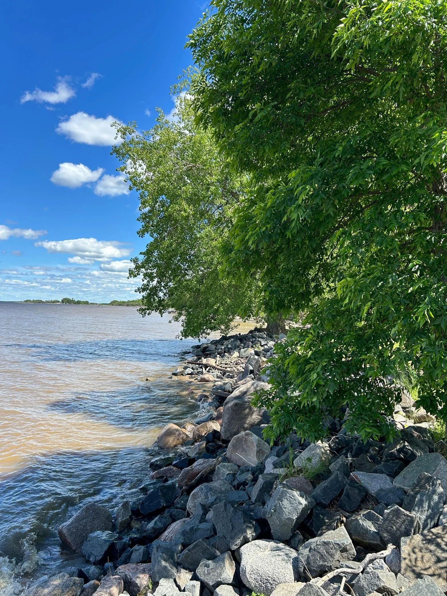 Shoreline on Lake of the Woods