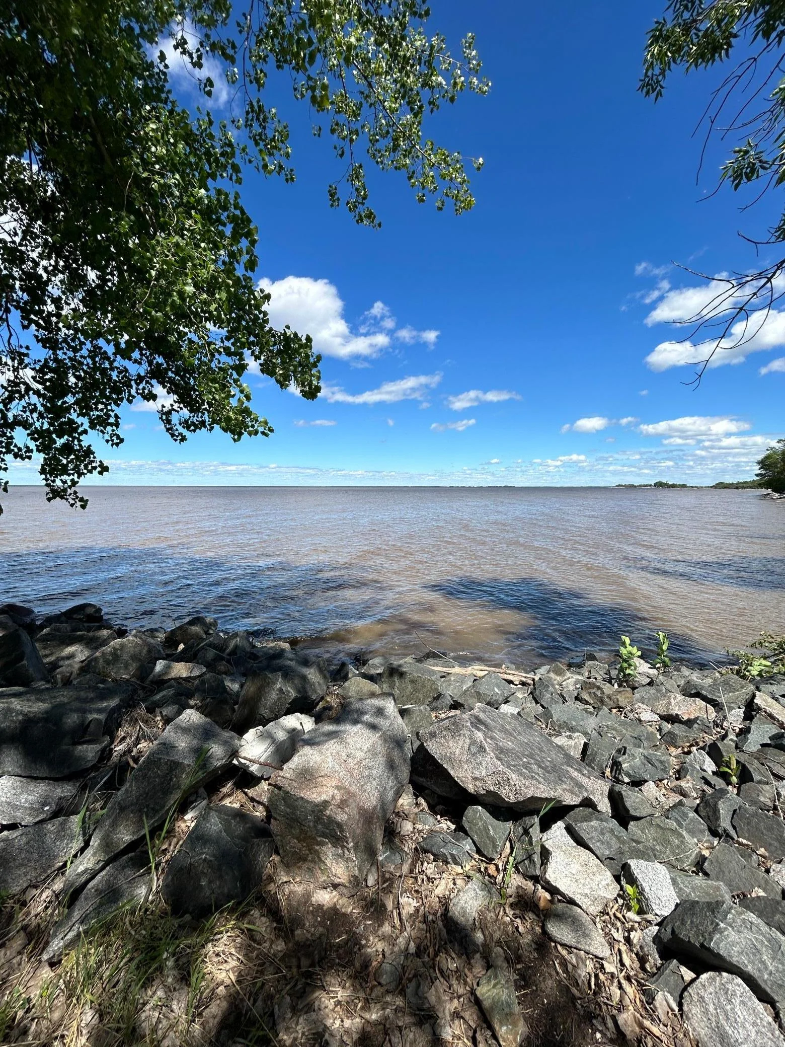 Shoreline on Lake of the Woods