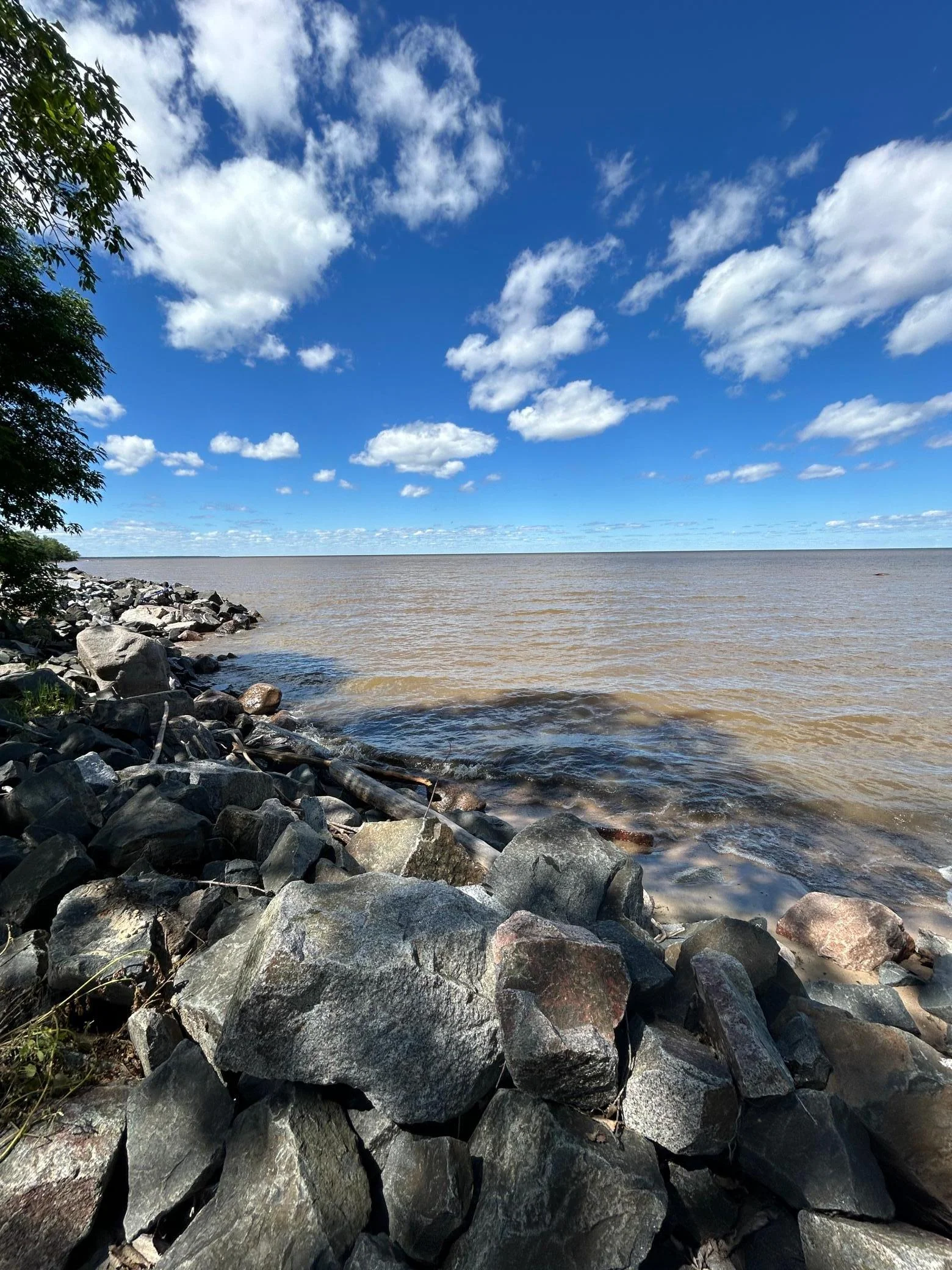 Shoreline on Lake of the Woods