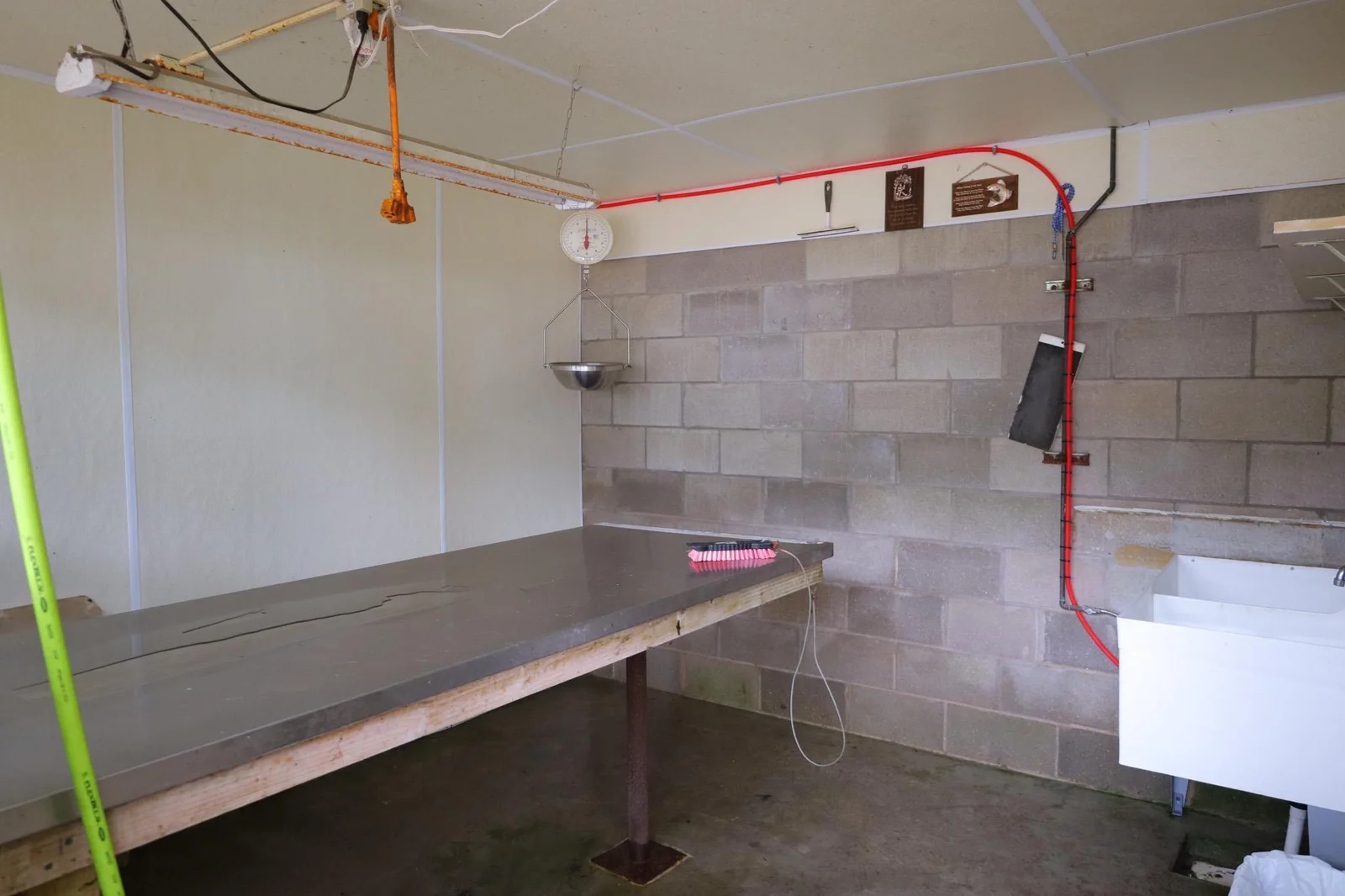 Fish cleaning station