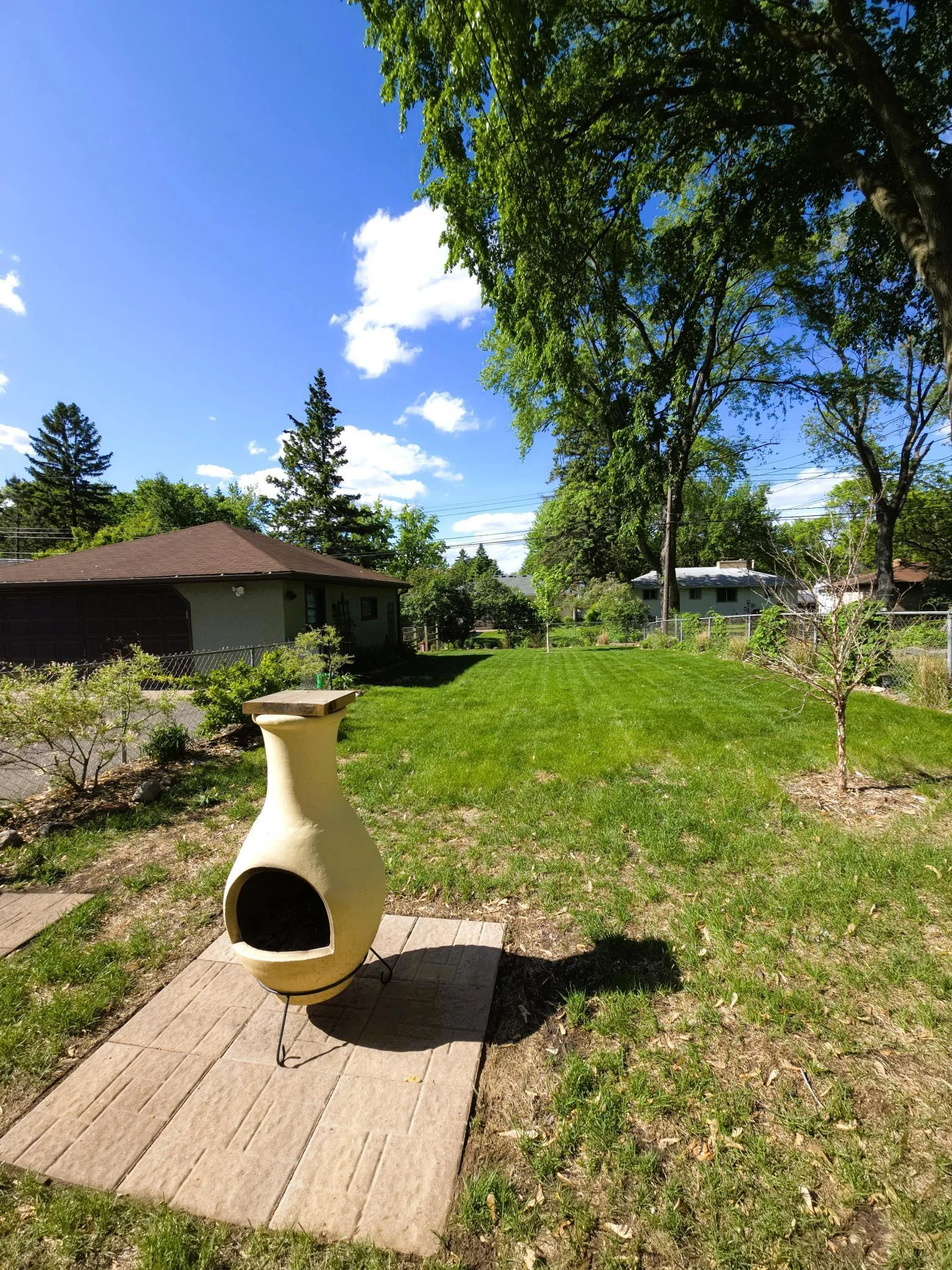 719 fenced back yard.jpg