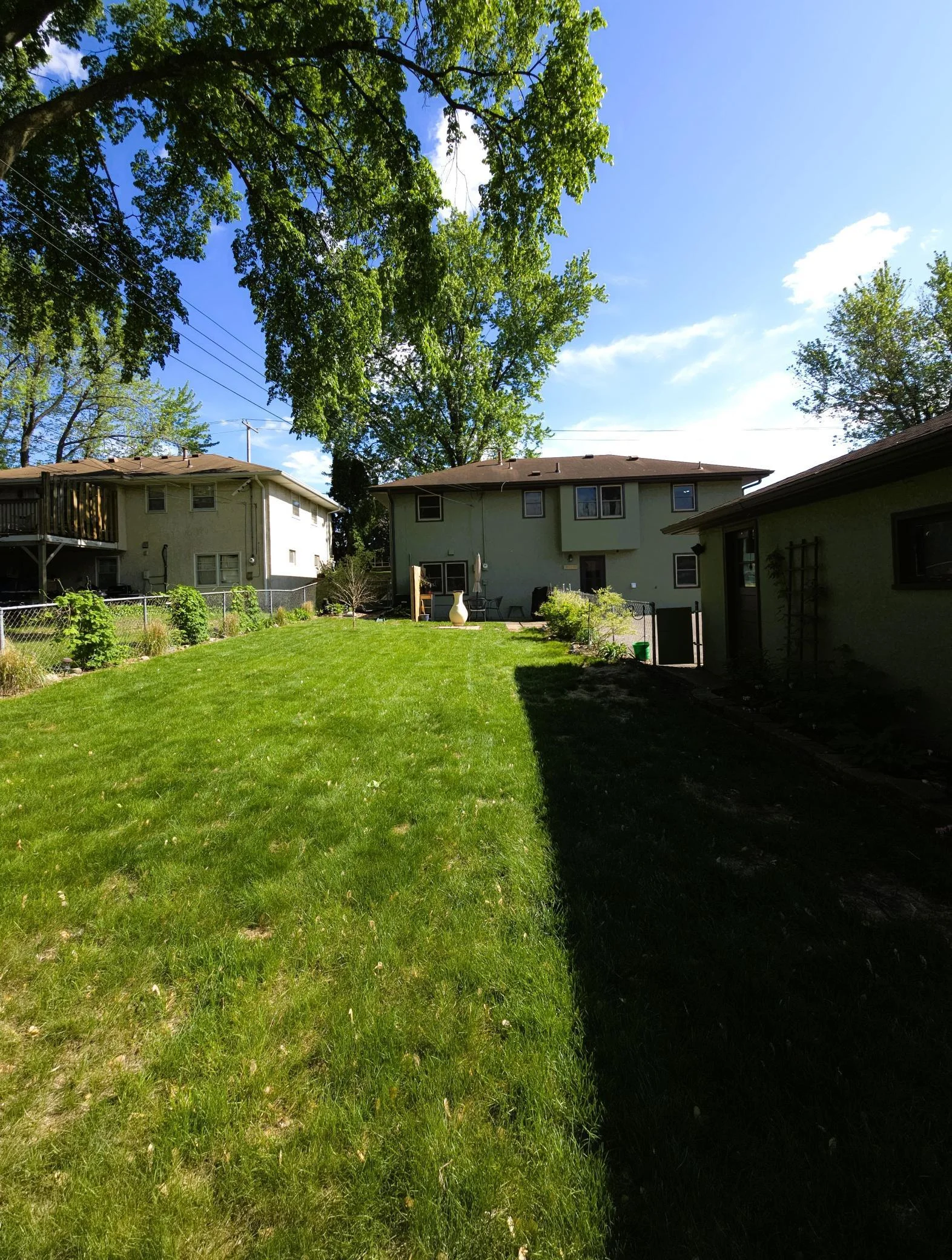 719 backyard facing house.jpg